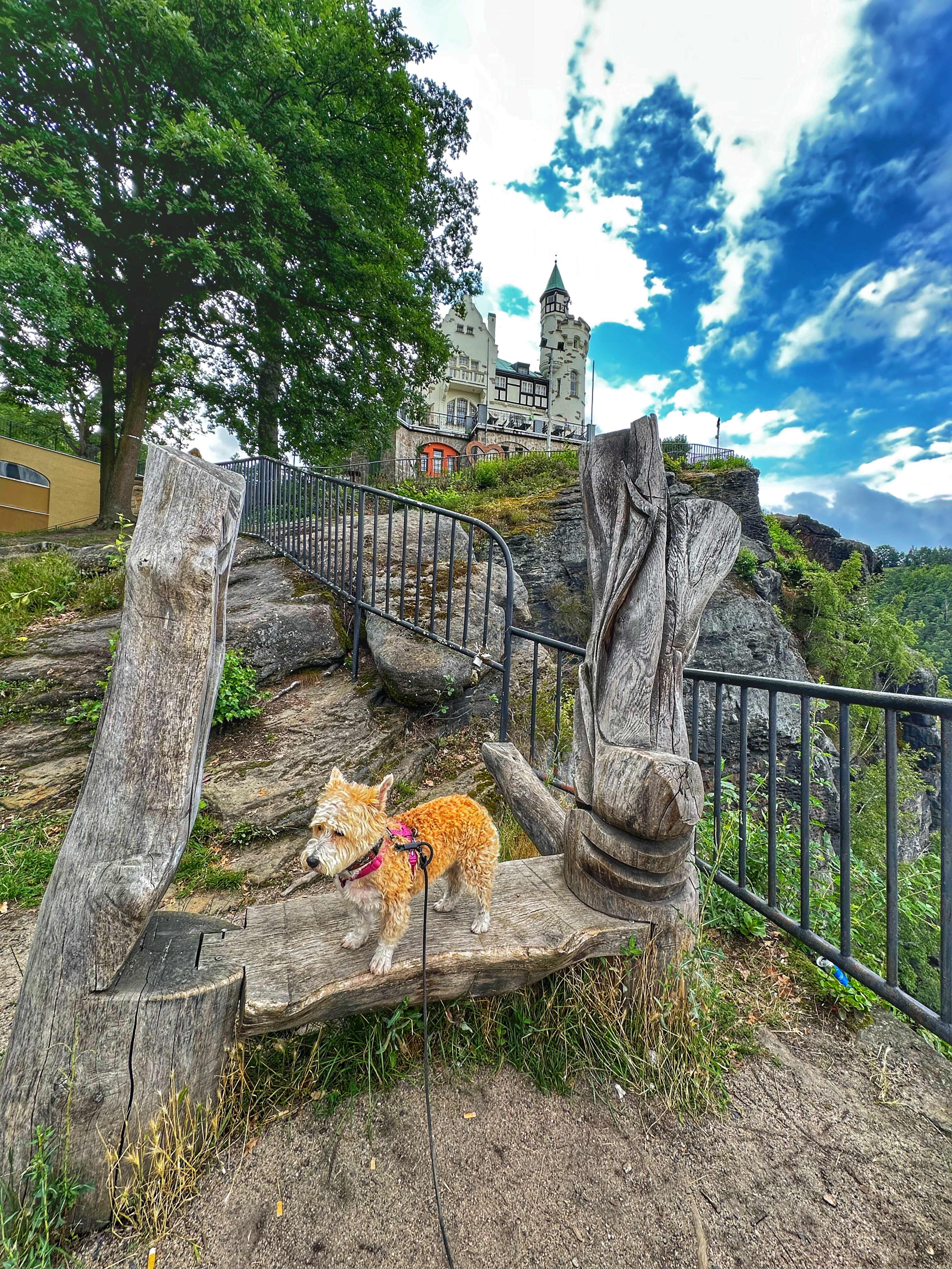 Kemp Děčín foto 3