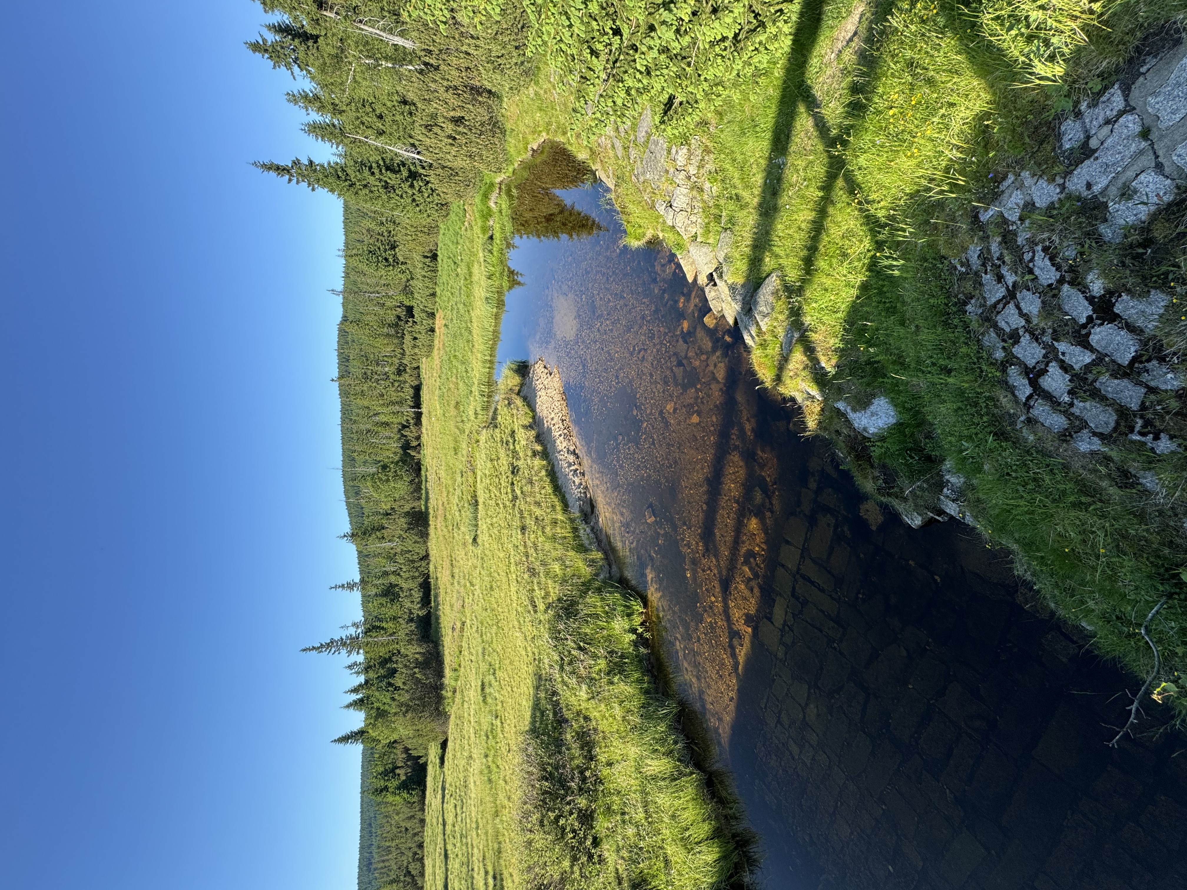 Penzion Nad Jizerským Údolím foto 5