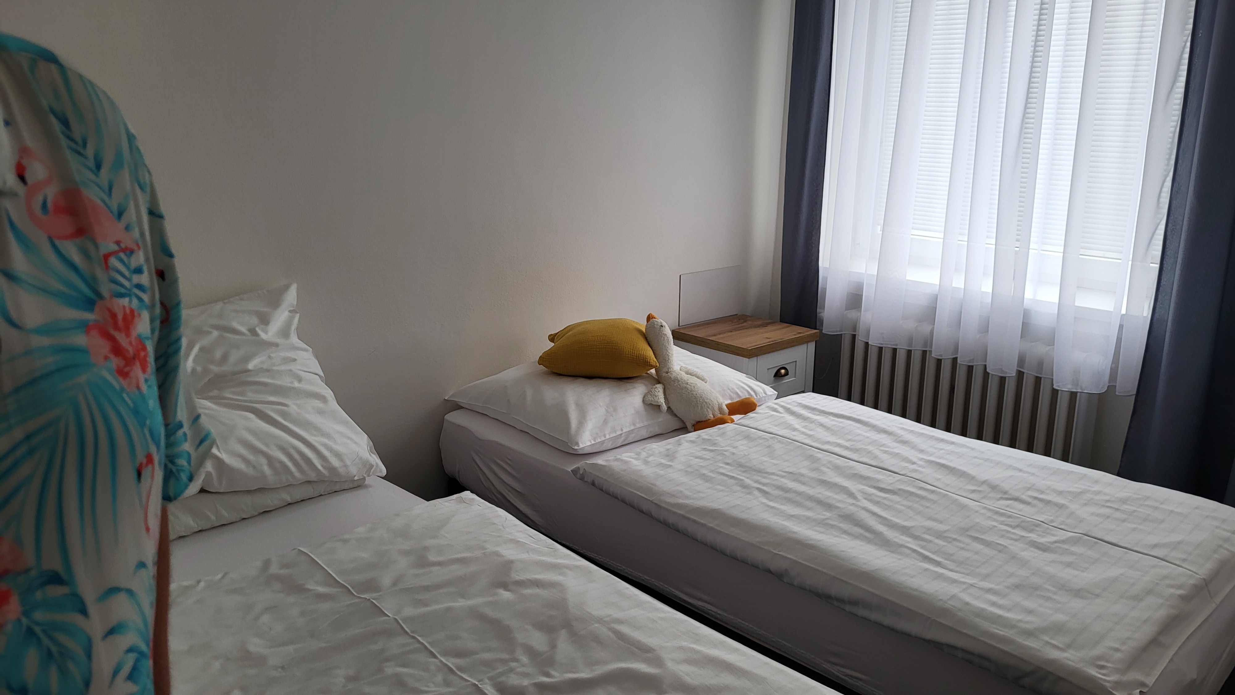 Hotel Dobruška foto 4
