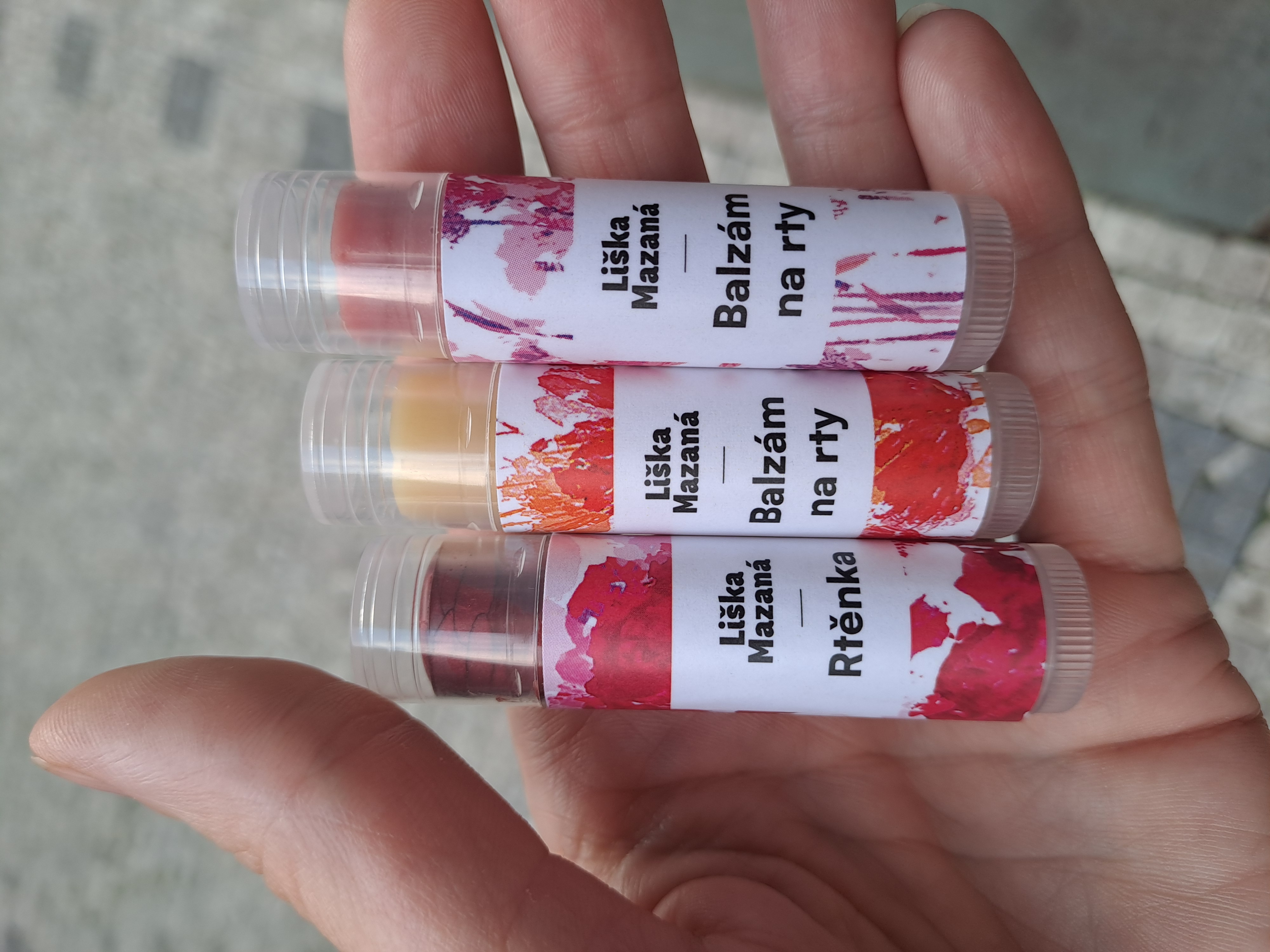 Liška mazaná foto 2