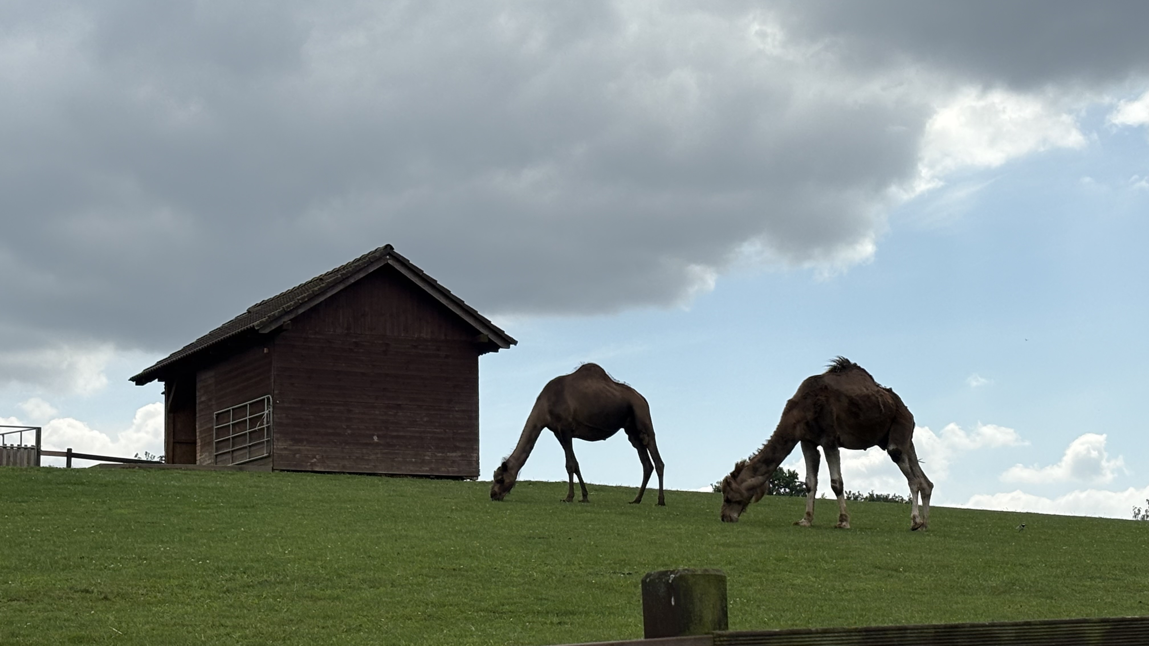 FARMAPARK foto 6