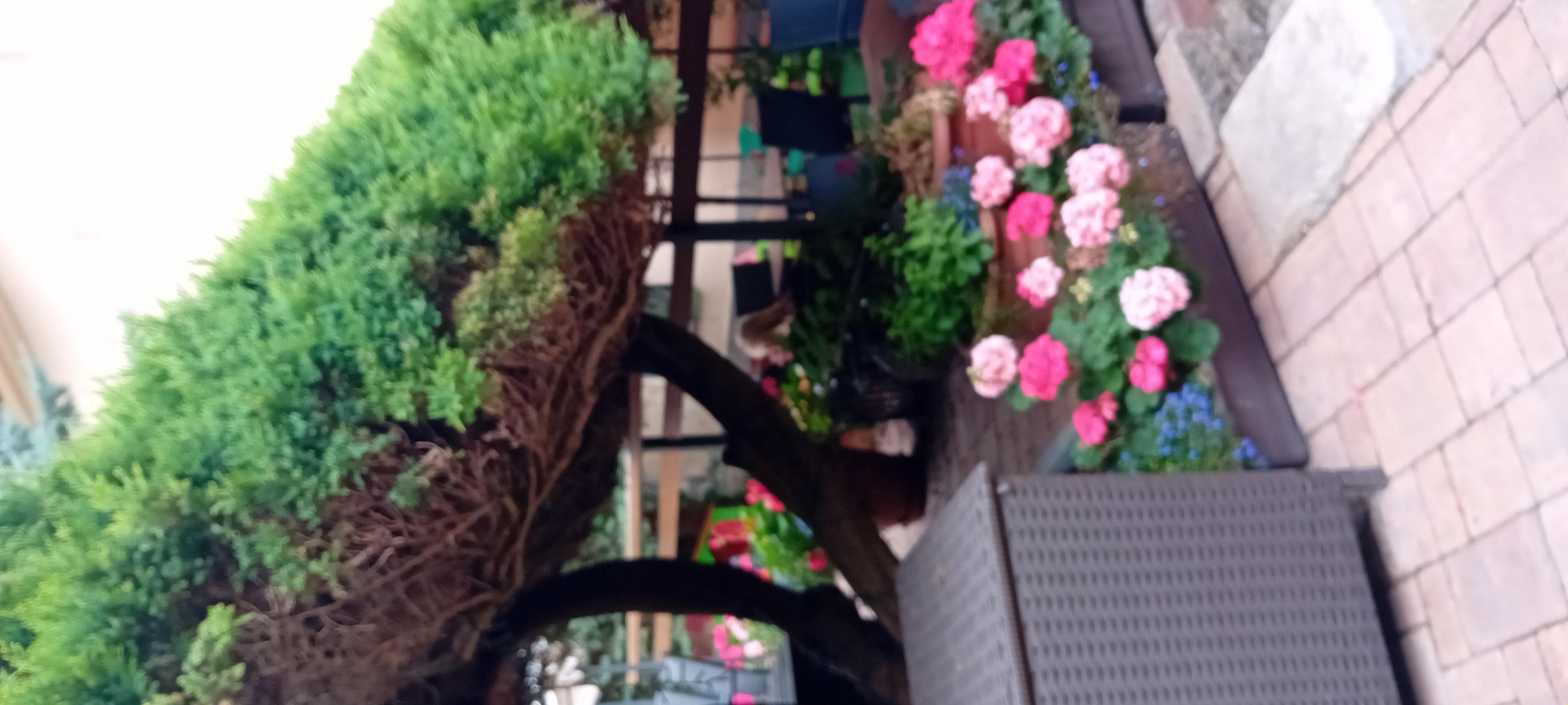 Restaurace Atrium foto 2