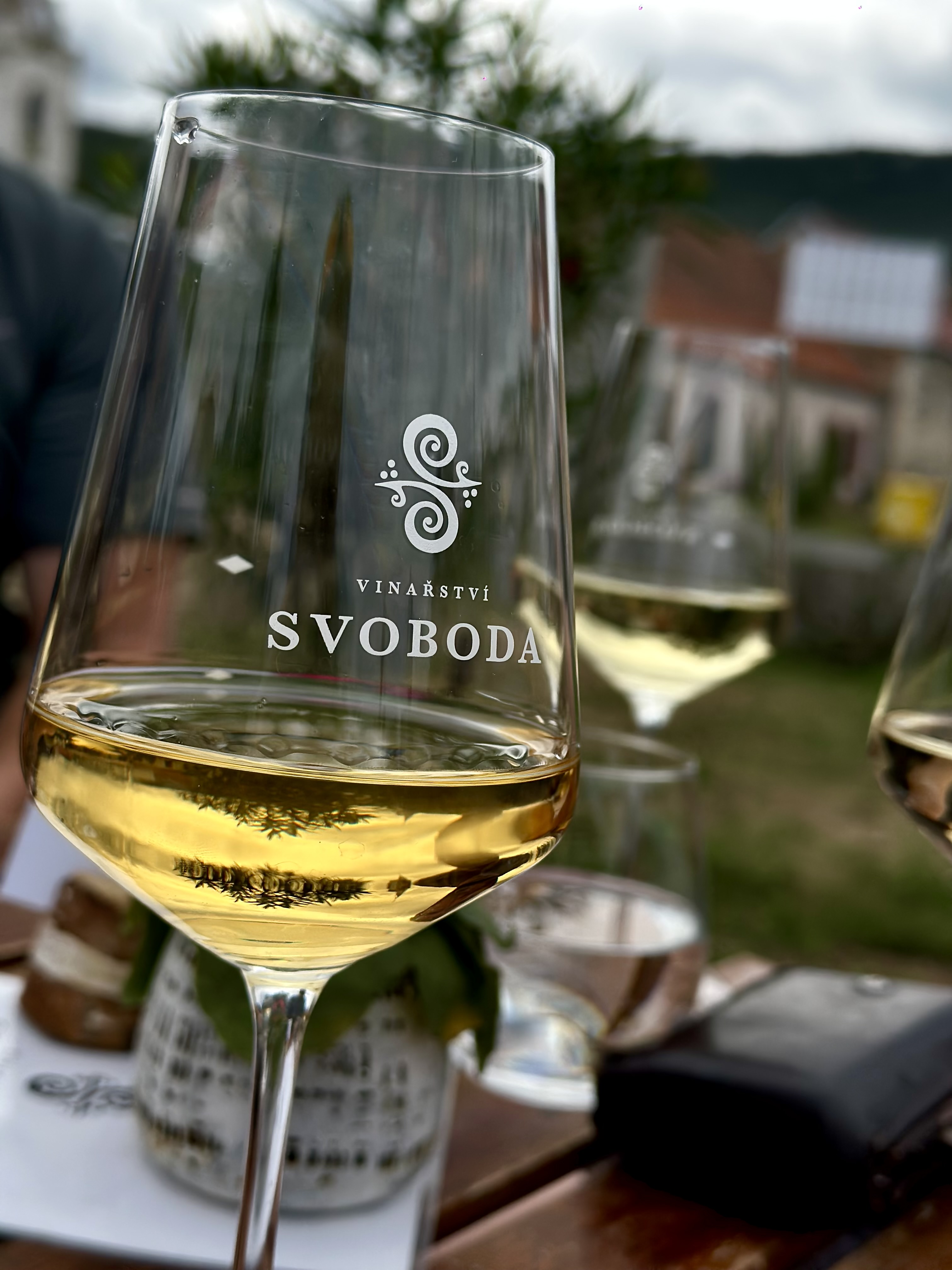 Vinařství Svoboda foto 2