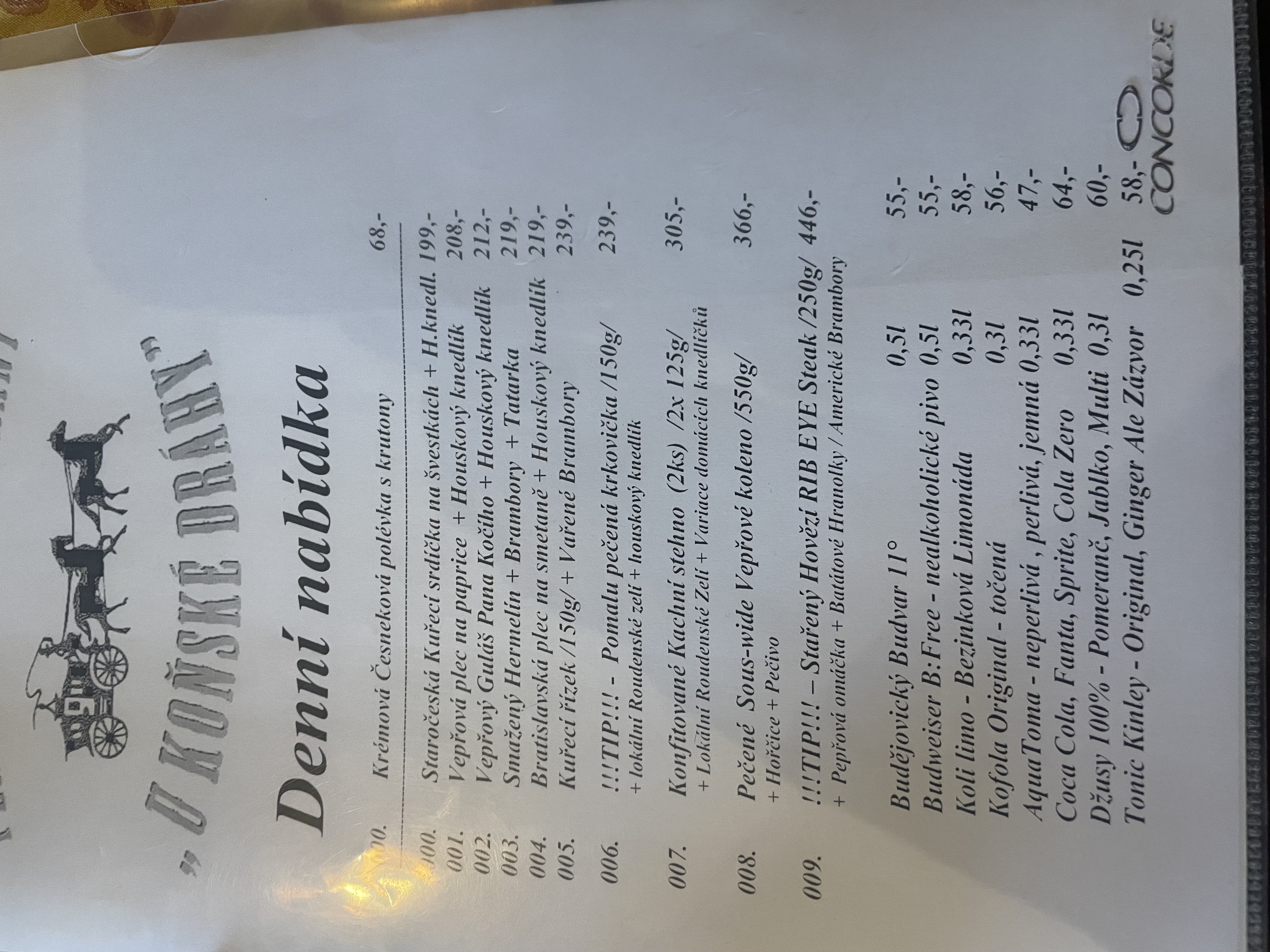 Restaurant U Koňské dráhy foto 4