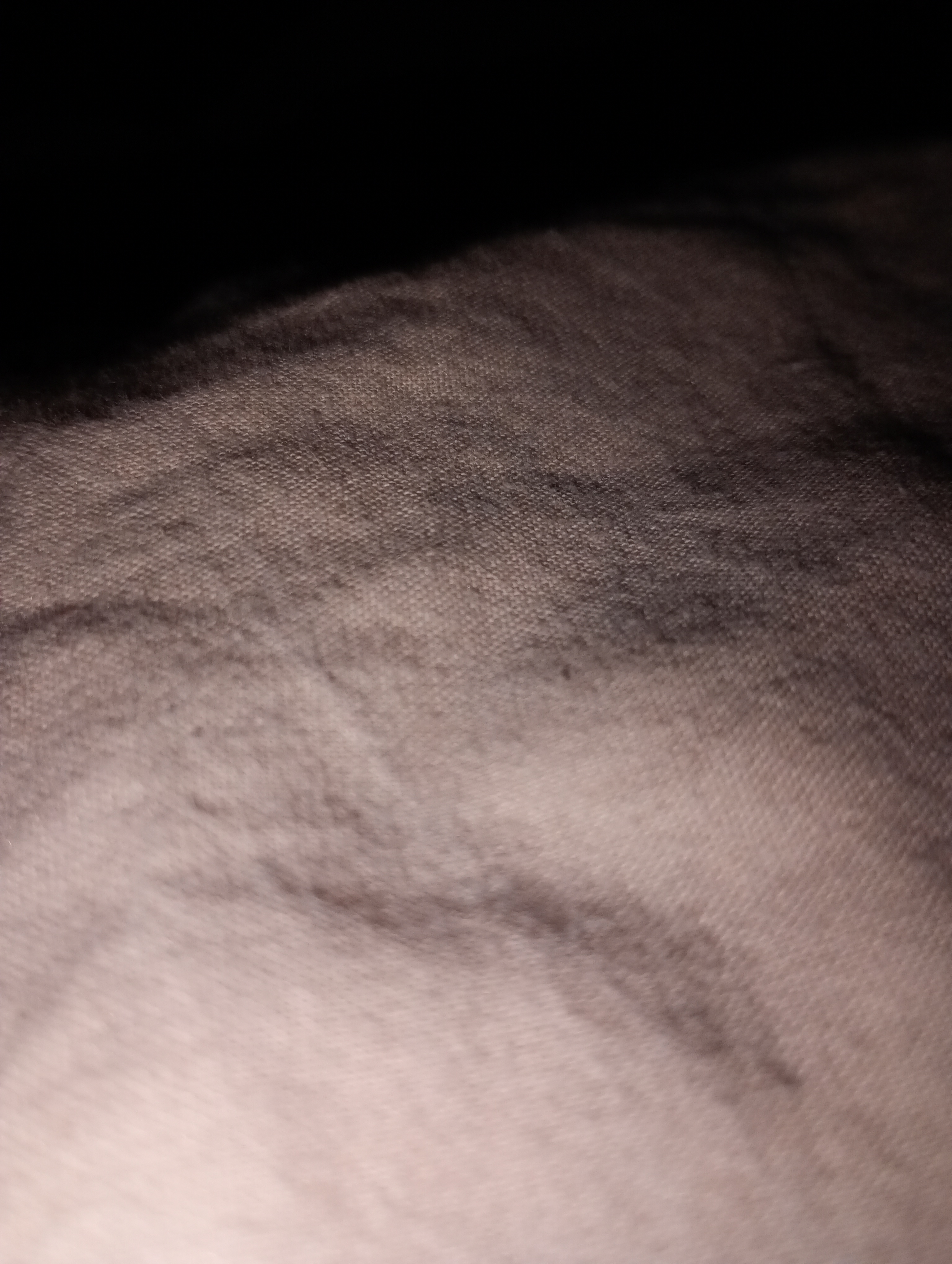 Horská chata RADOST foto 6