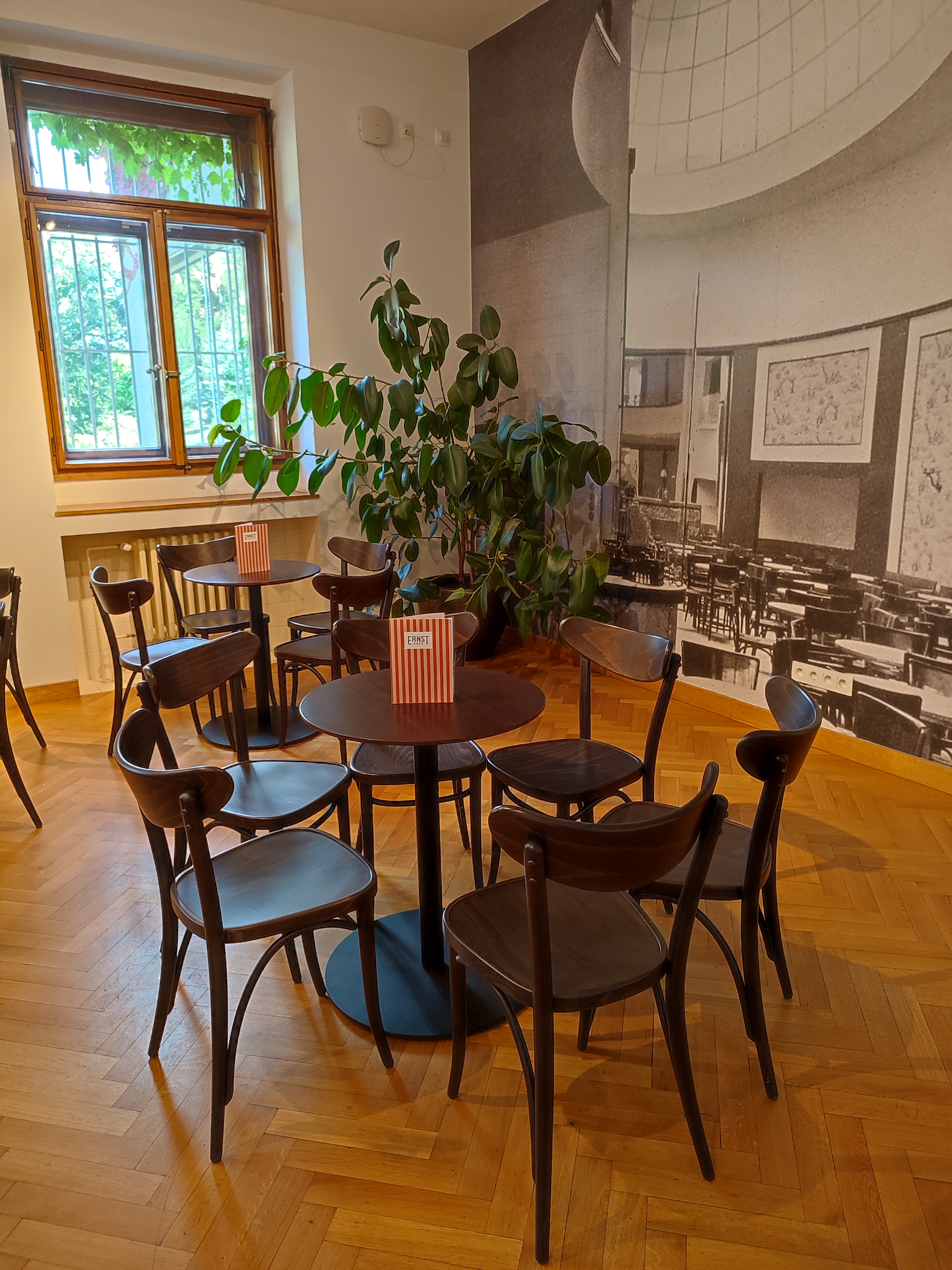 Café Ernst foto 5