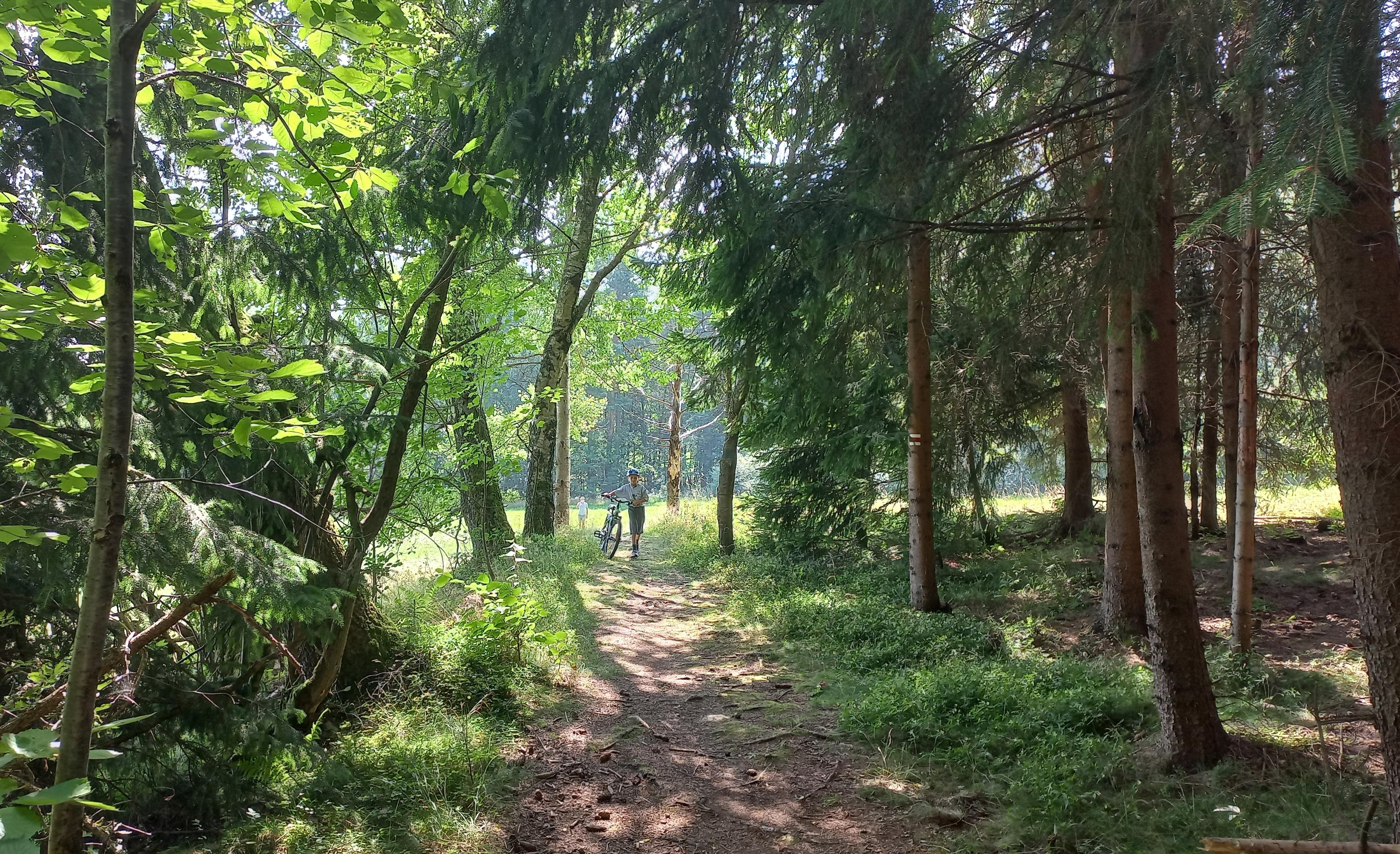 Penzion u Černého kohoutka foto 5