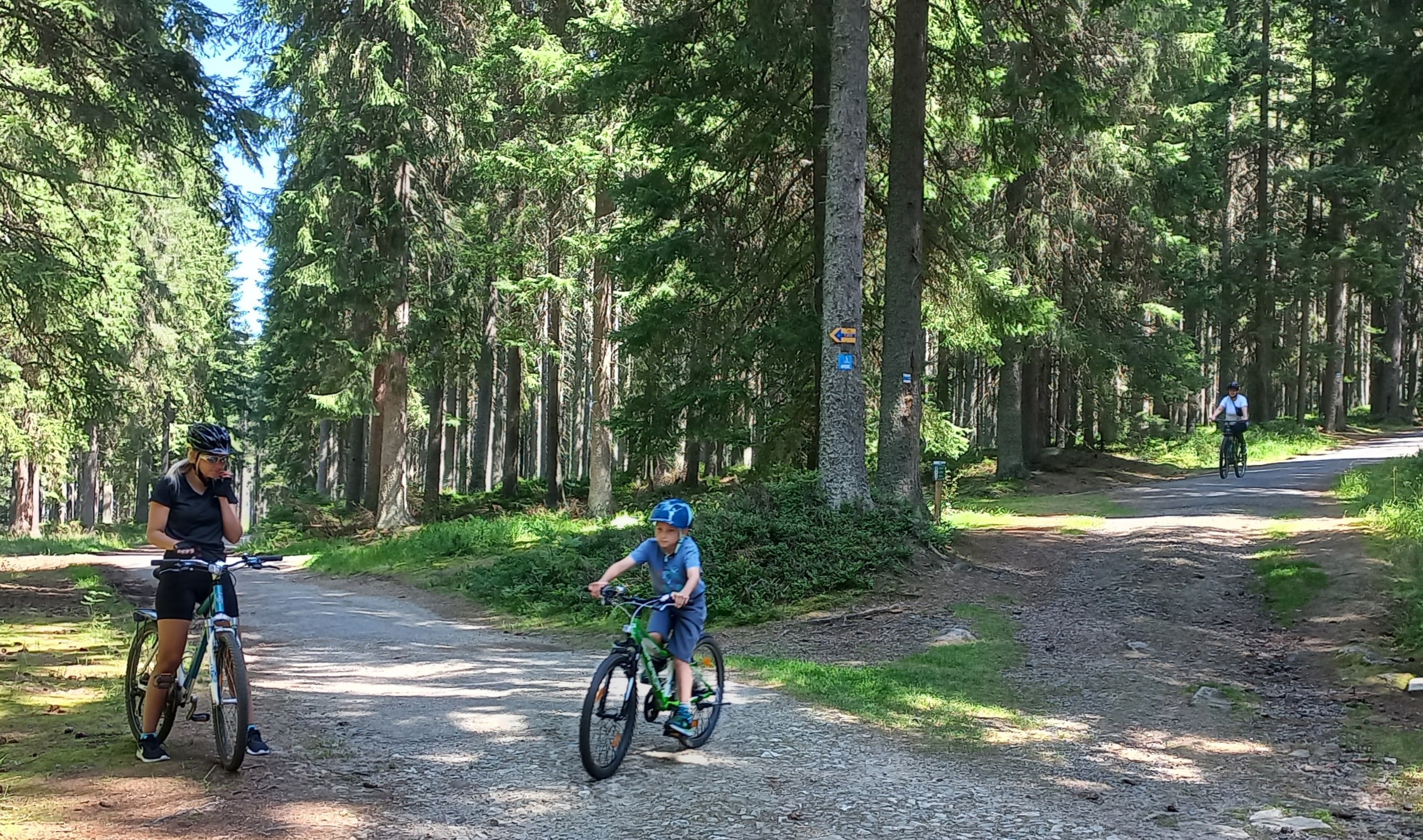 Penzion u Černého kohoutka foto 5