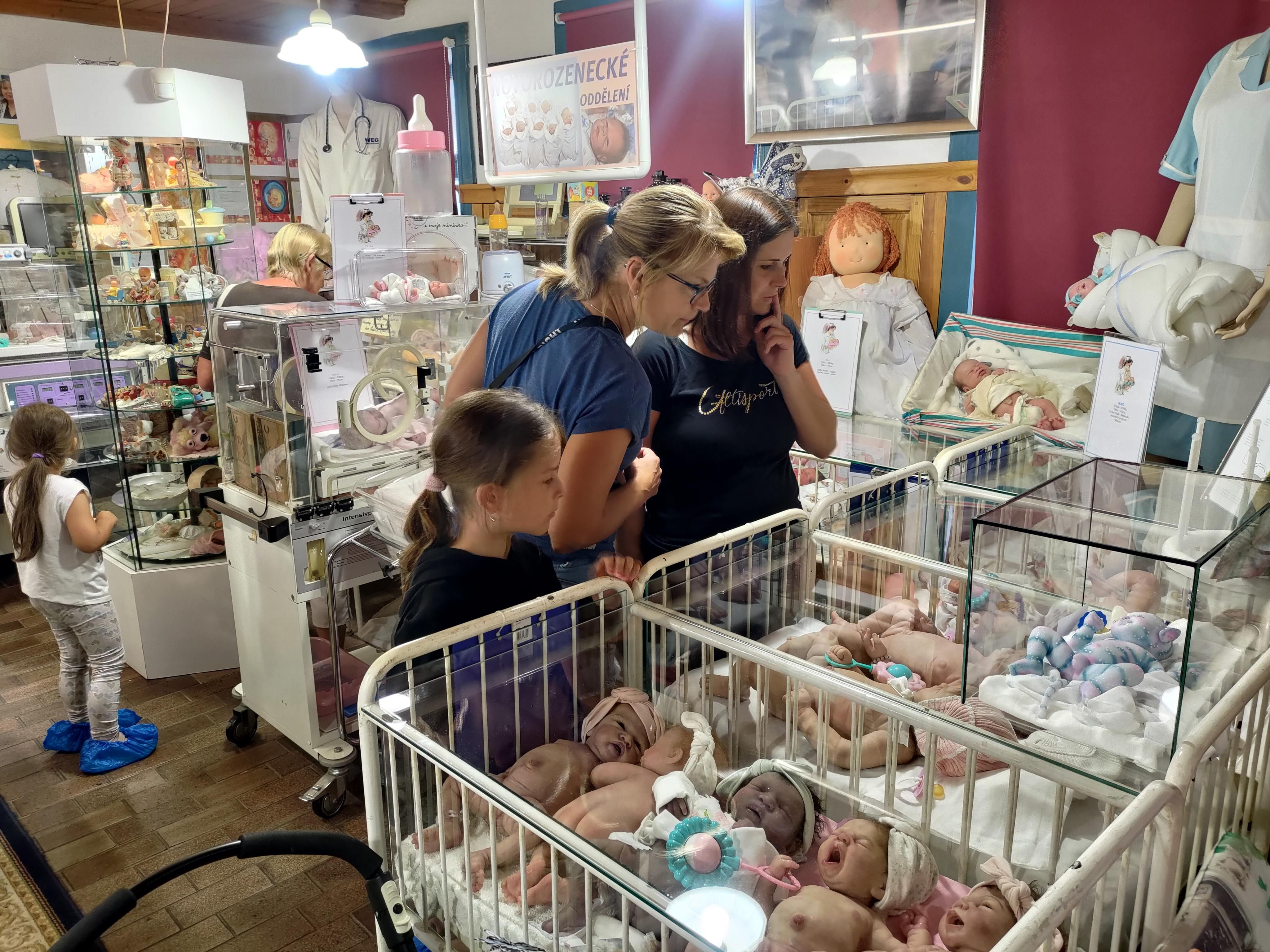 Muzeum panenek a medvídků pod Troskami foto 3