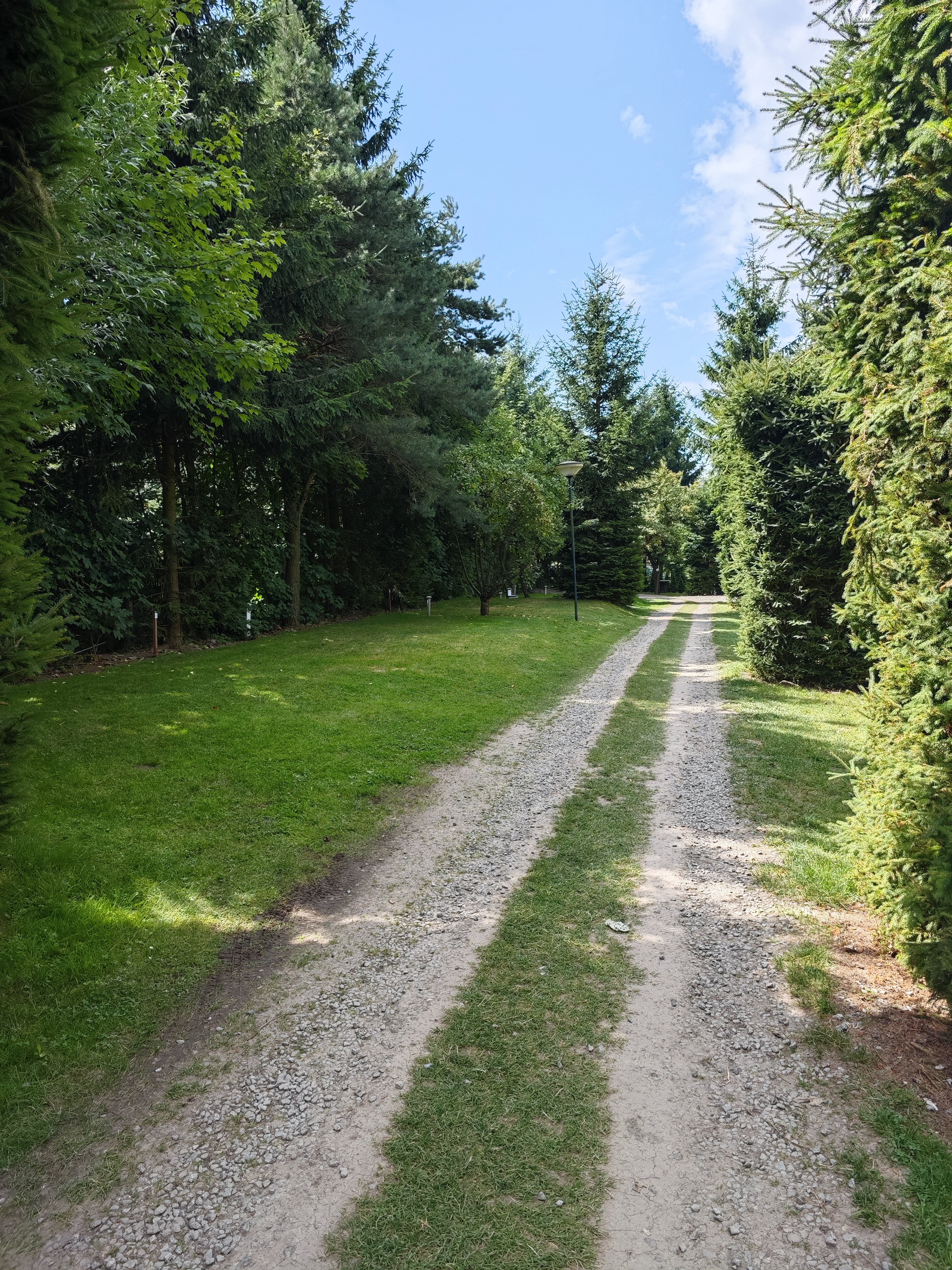 Camping de Bongerd foto 3