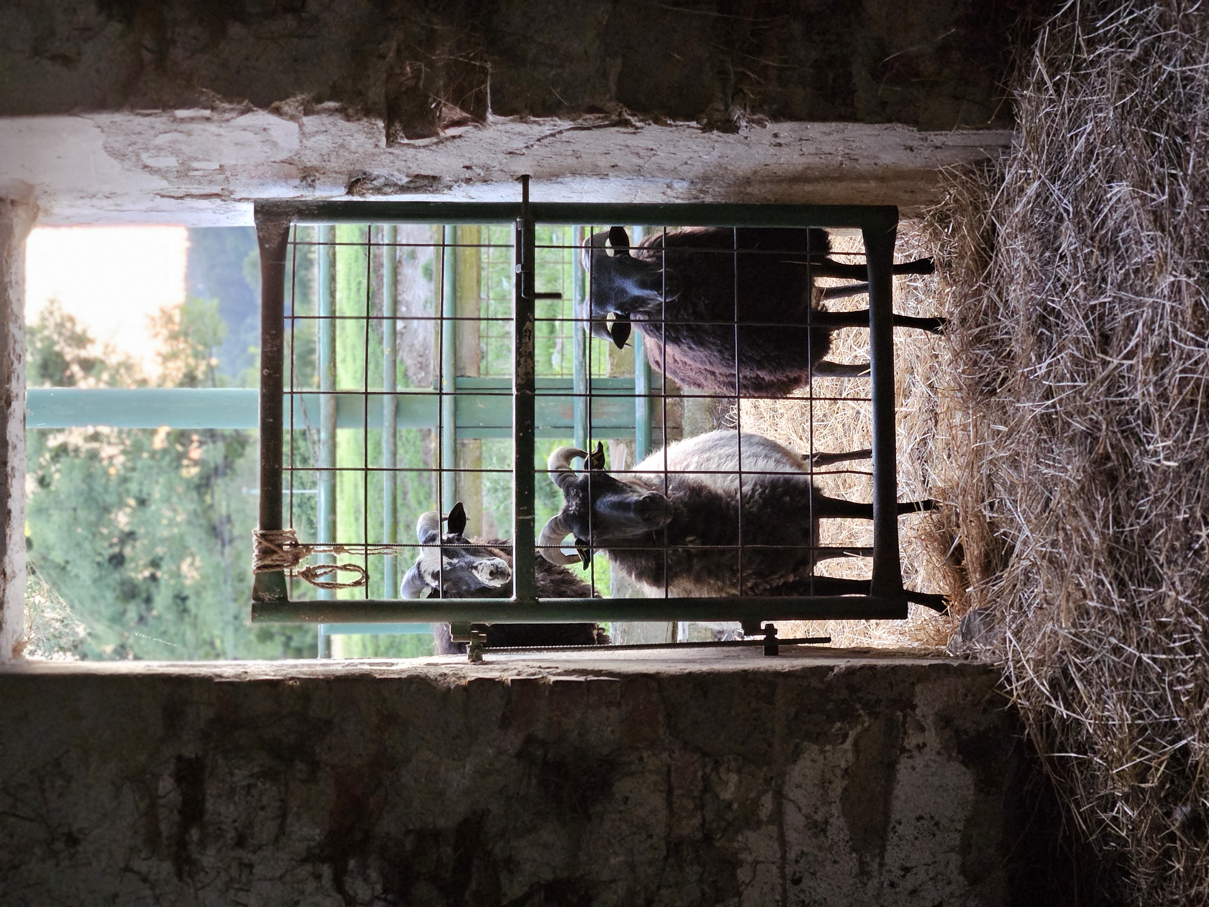 Ubytování na tvrzi foto 2