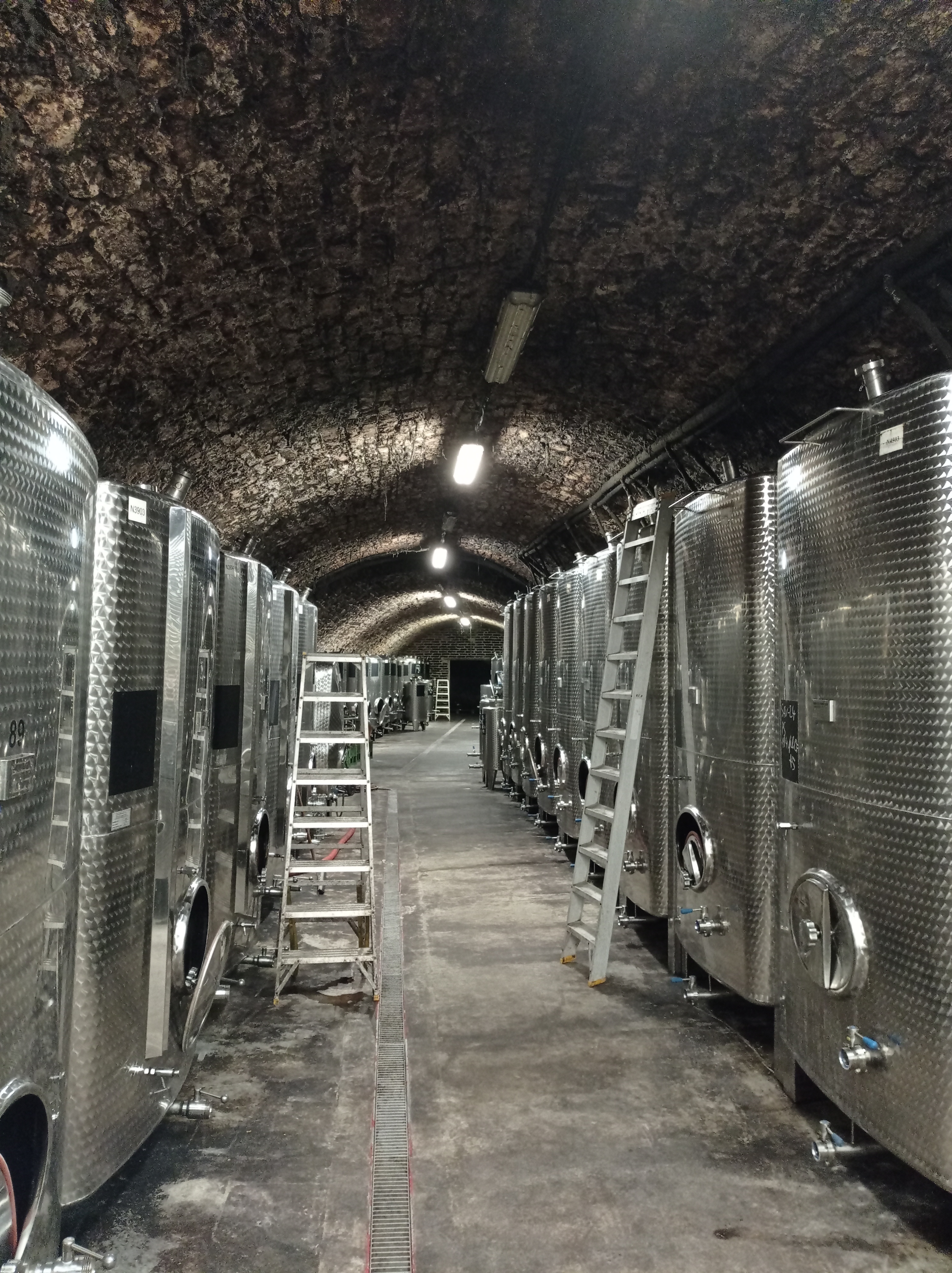 Žernosecké vinařství foto 5