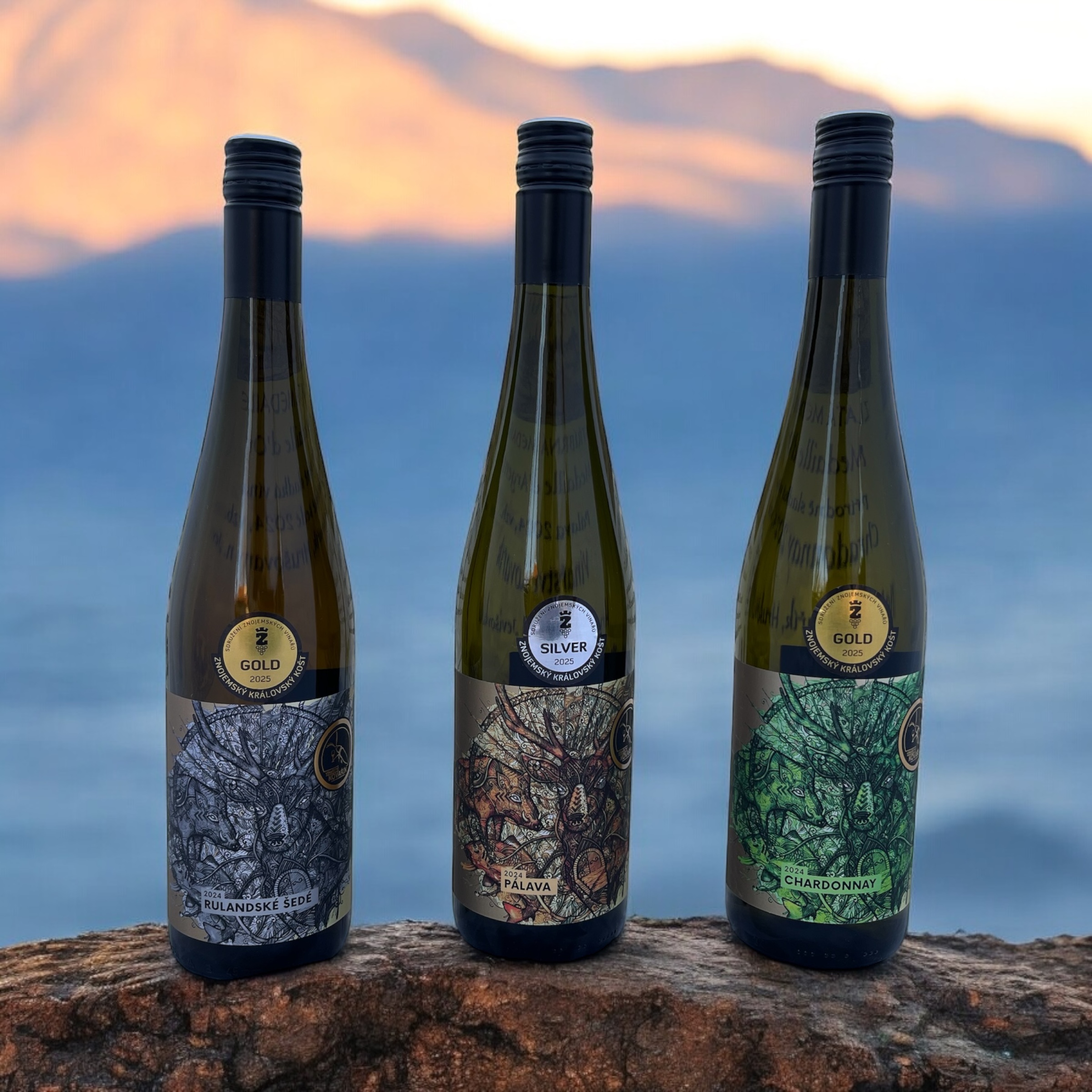 VINAŘSTVÍ KOVAŘÍK foto 2