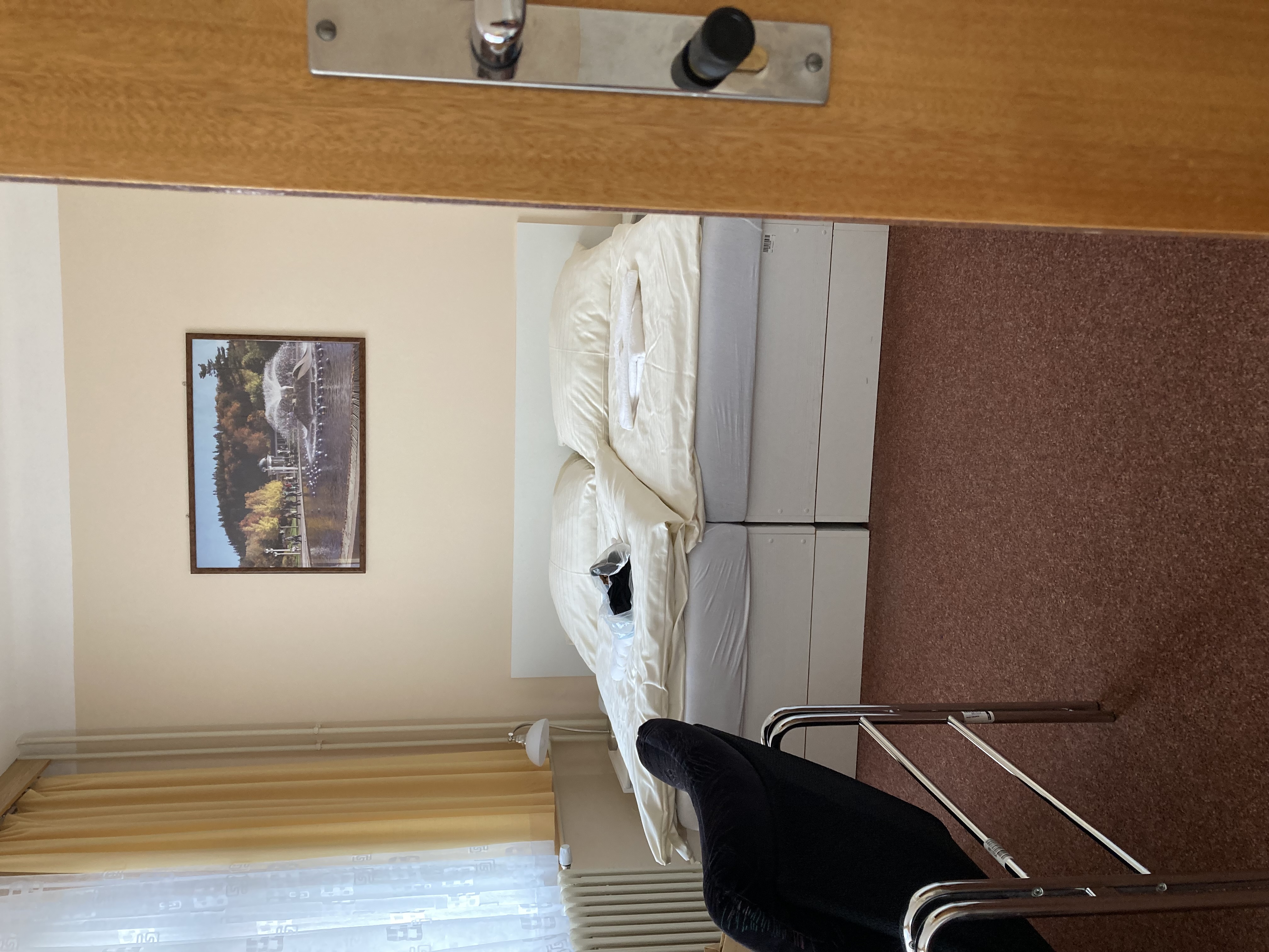 Hotel Zlatý zámek foto 4