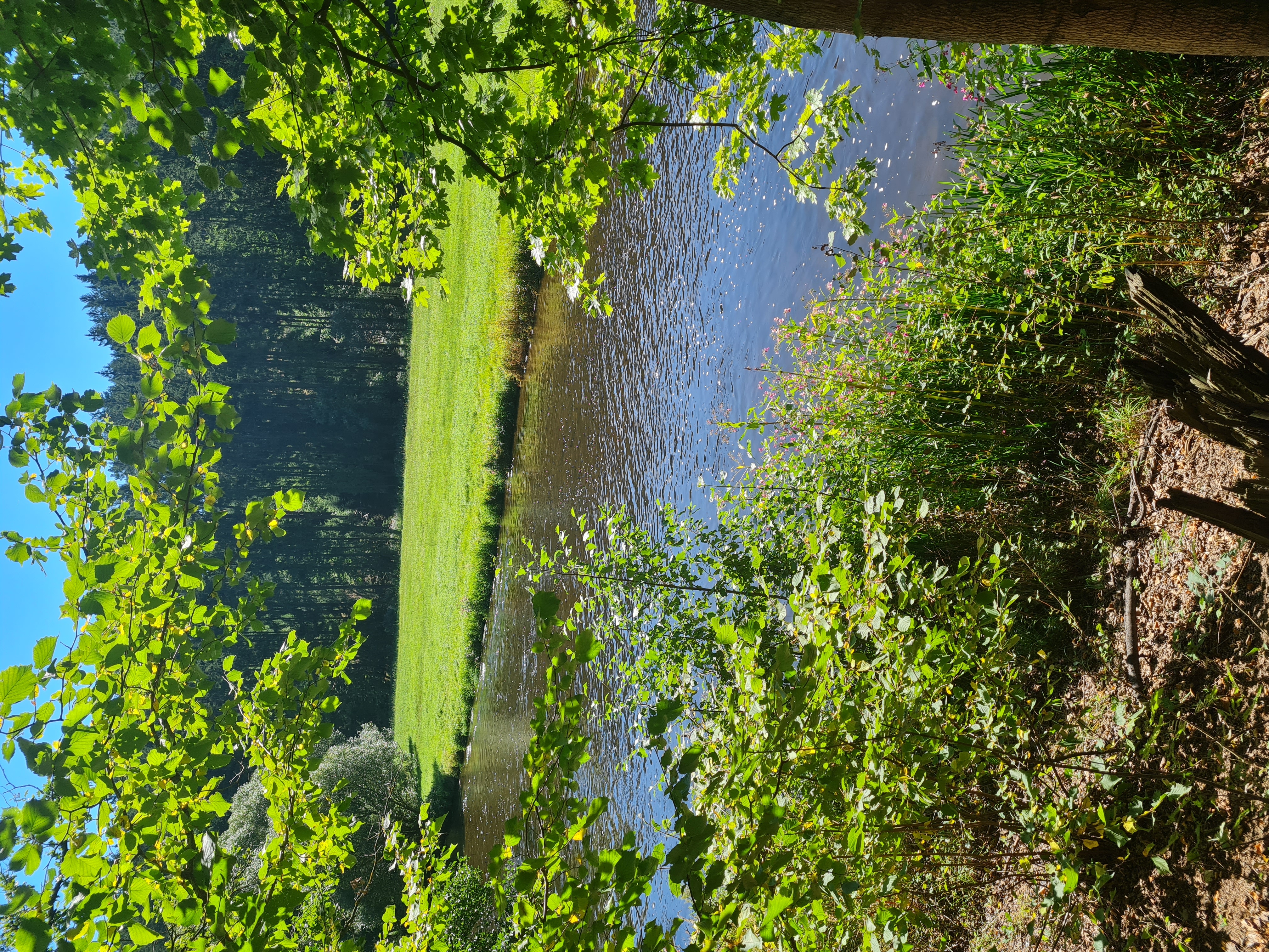 Camping Paradijs foto 5