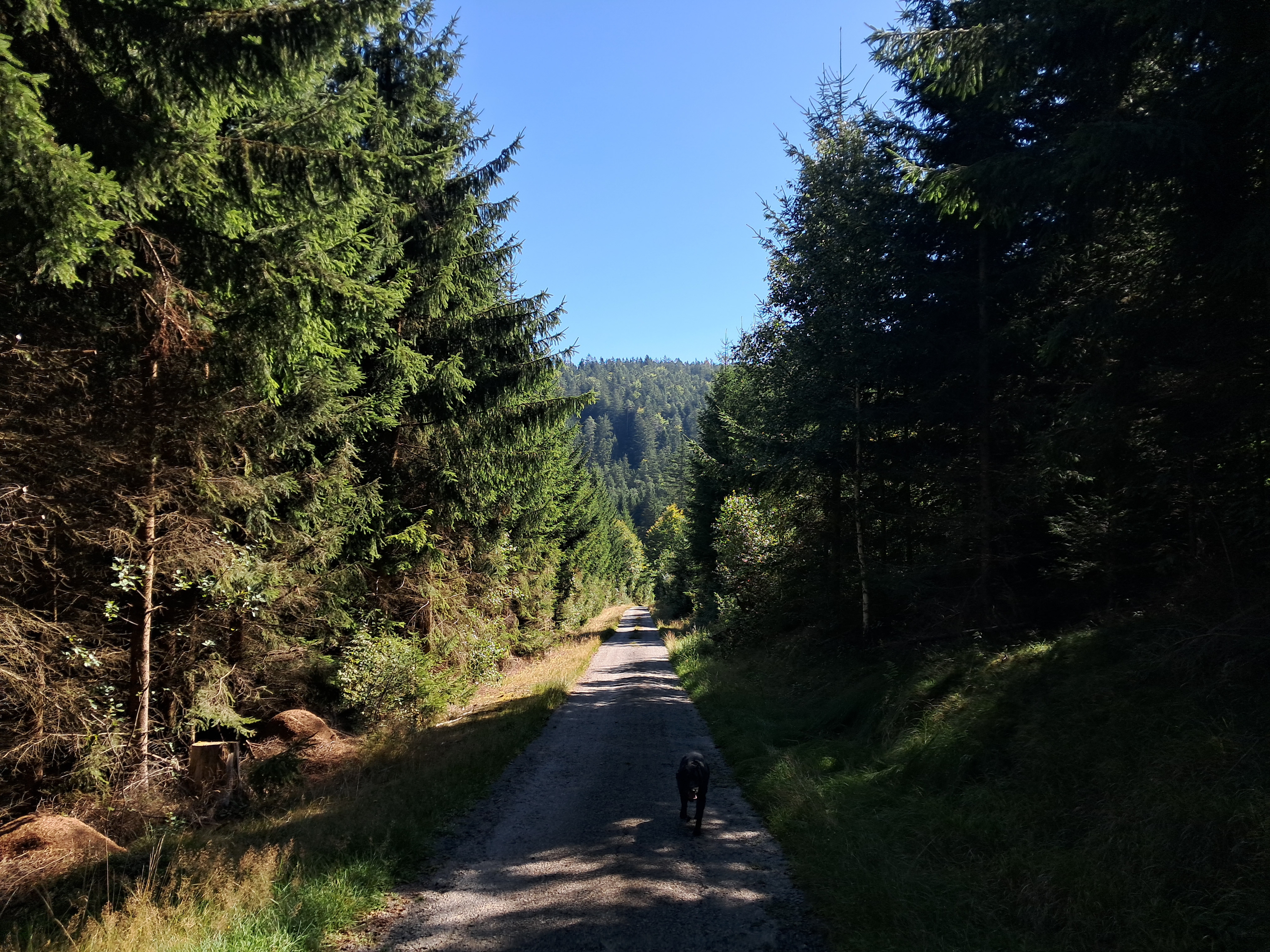 Schwarzenberská myslivna foto 5