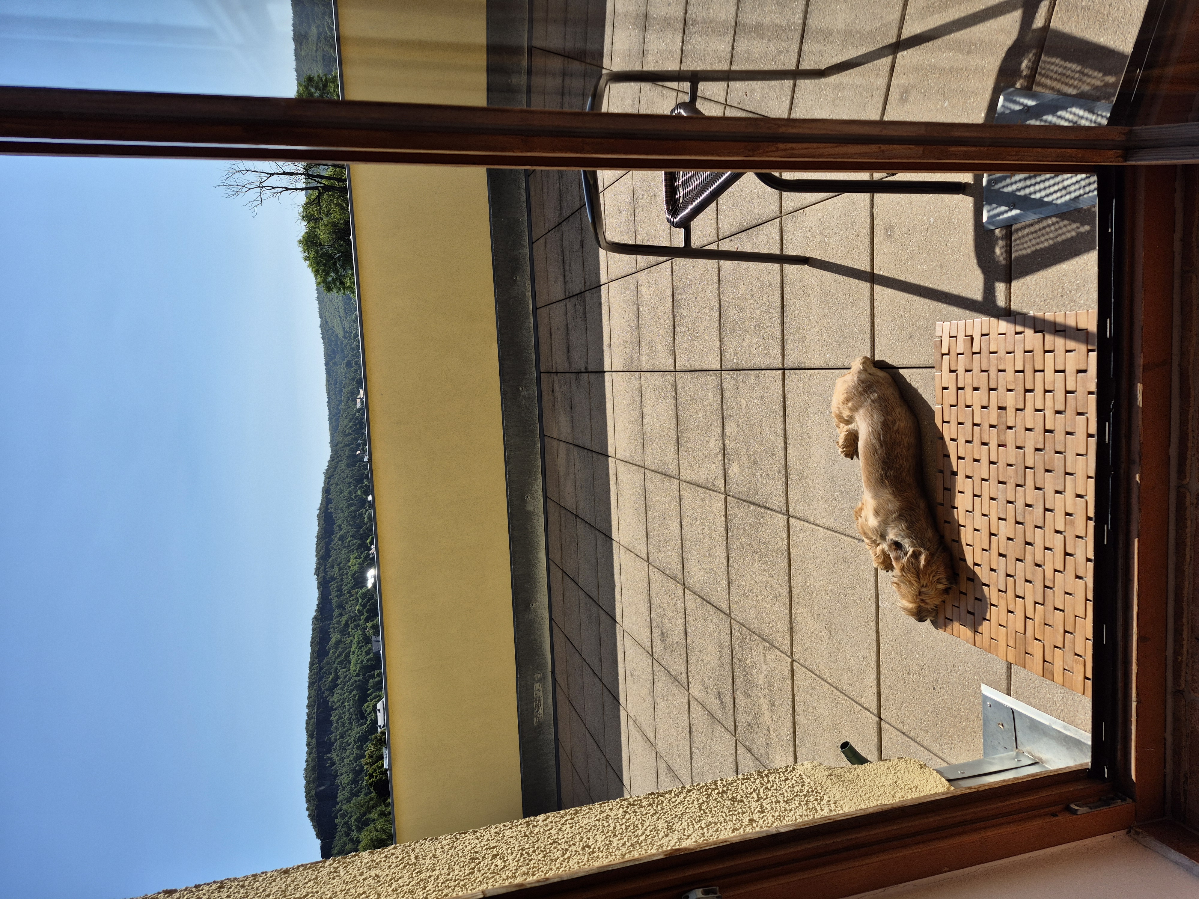 Apartmány Tisá 452 foto 5