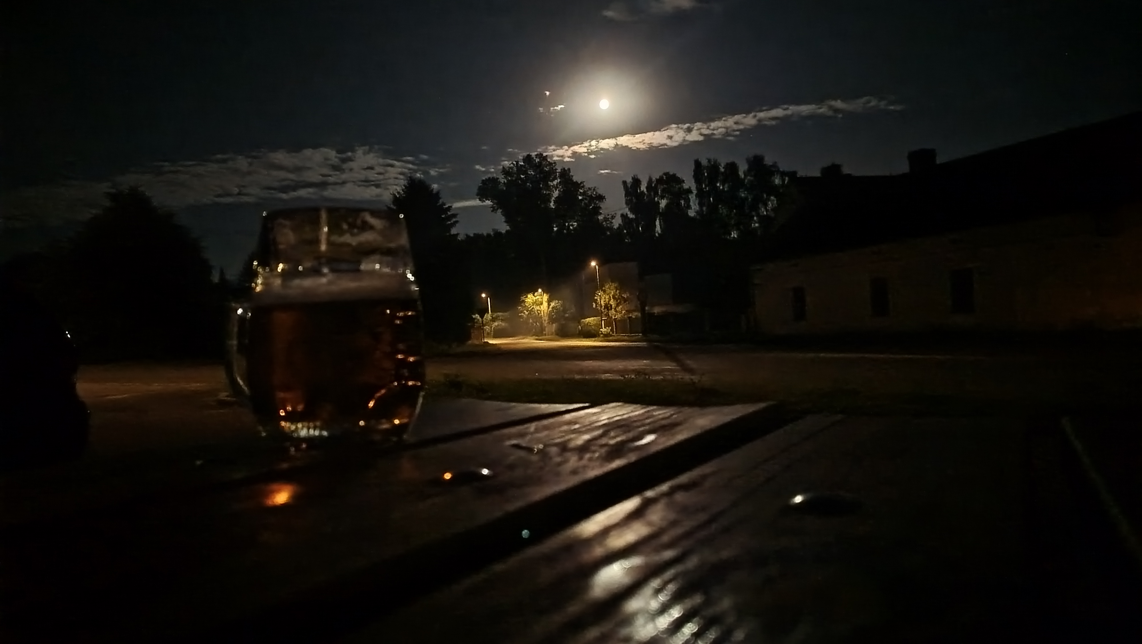 Český lev foto 2