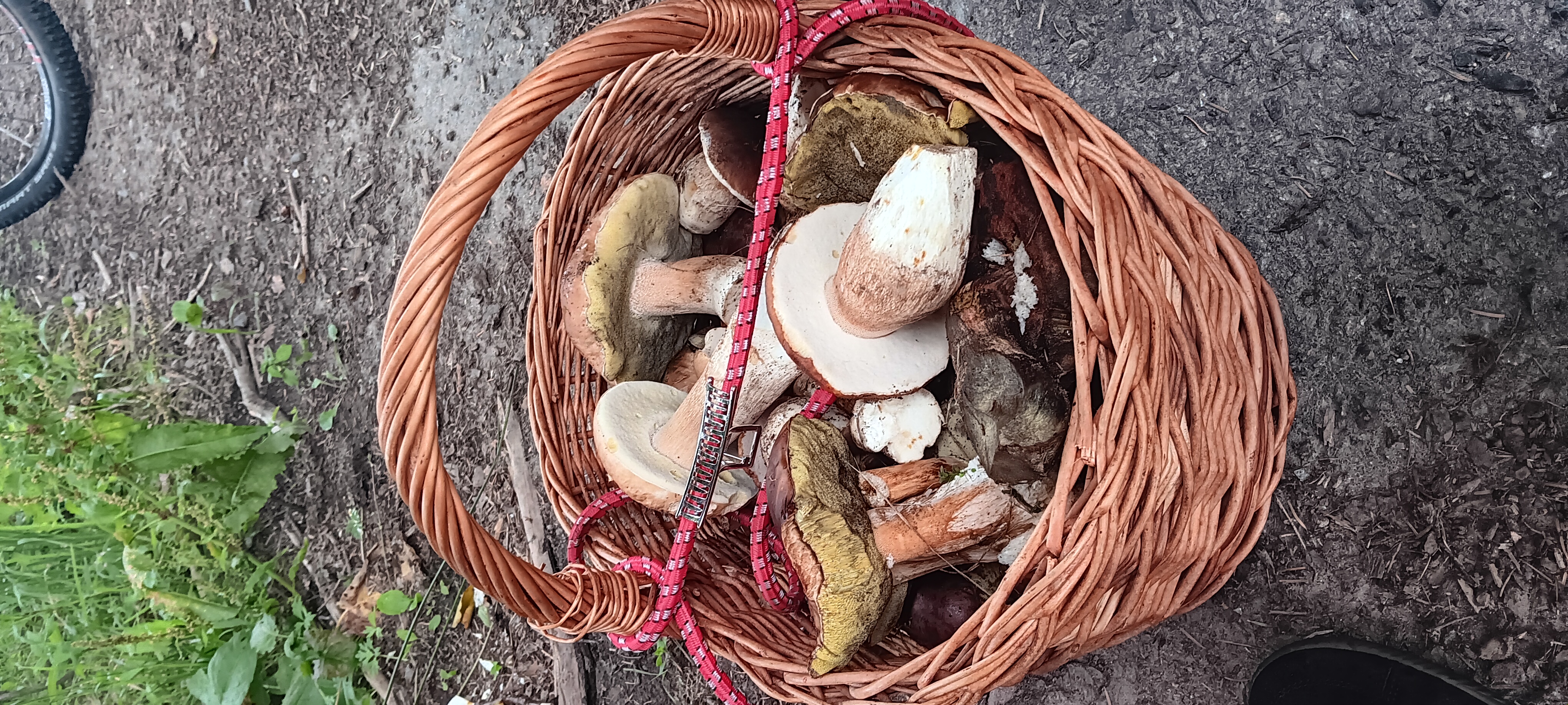 Penzion, ubytování Horní Dubenky foto 3