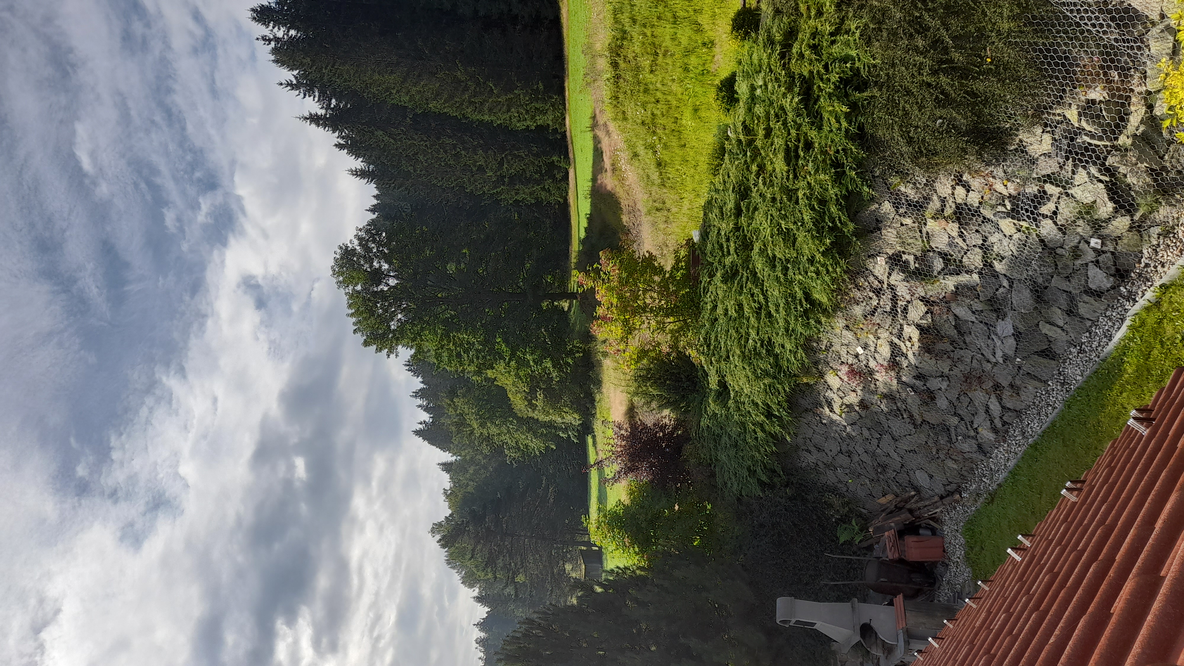 Apartmány Horní Vltavice foto 5