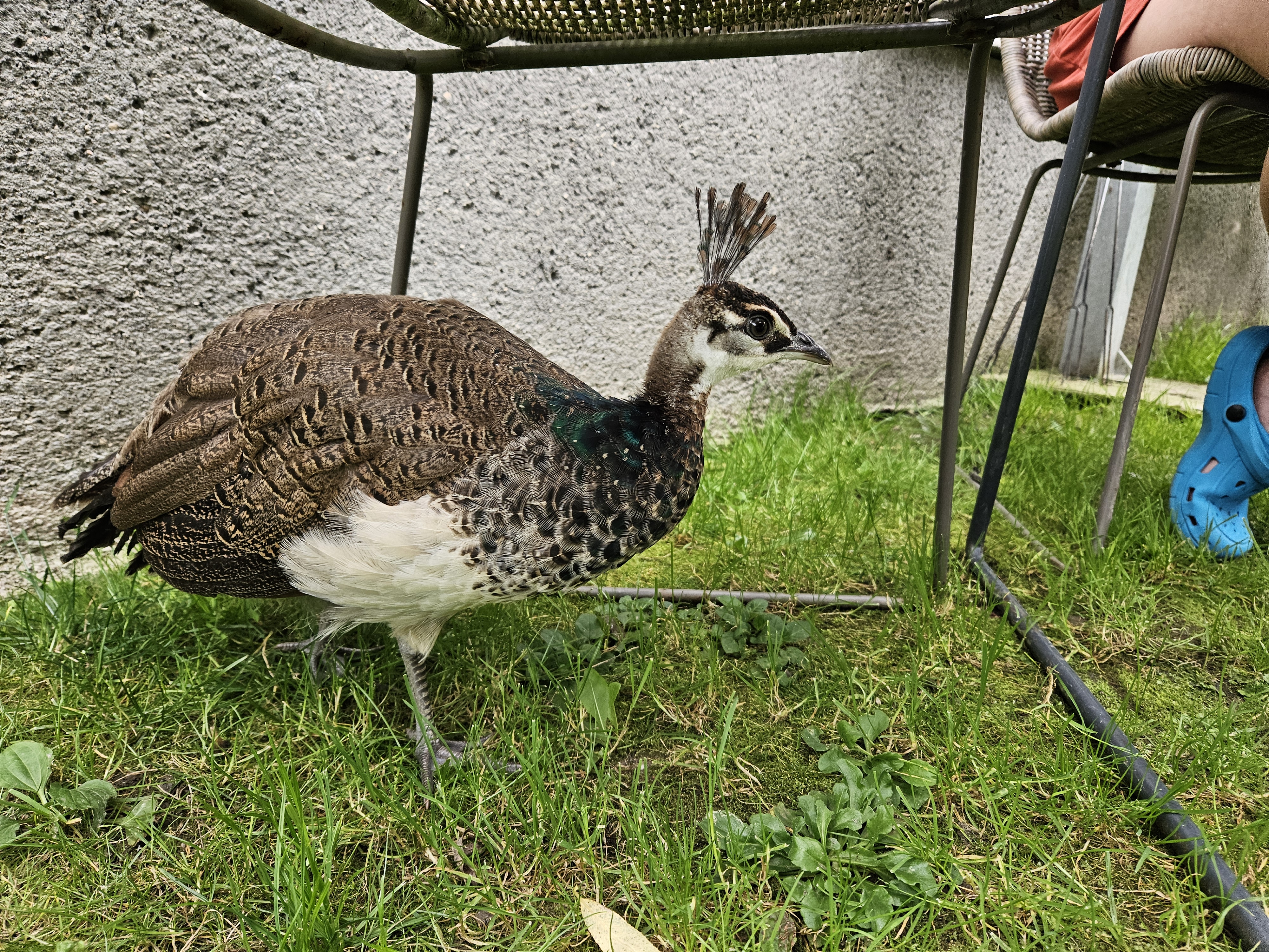 Apartmán U Tesařů foto 2
