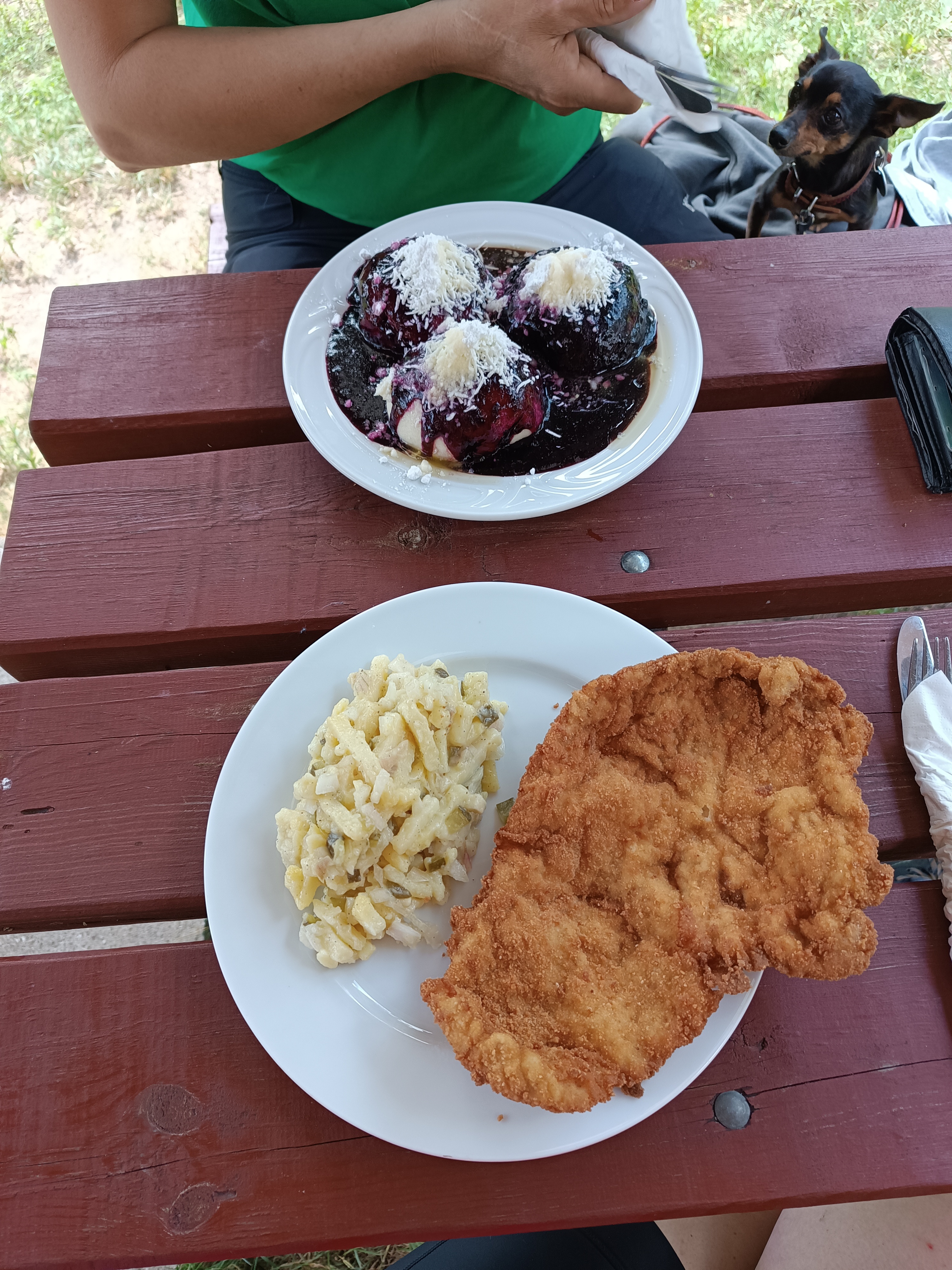 Restaurace U Kačerů foto 6