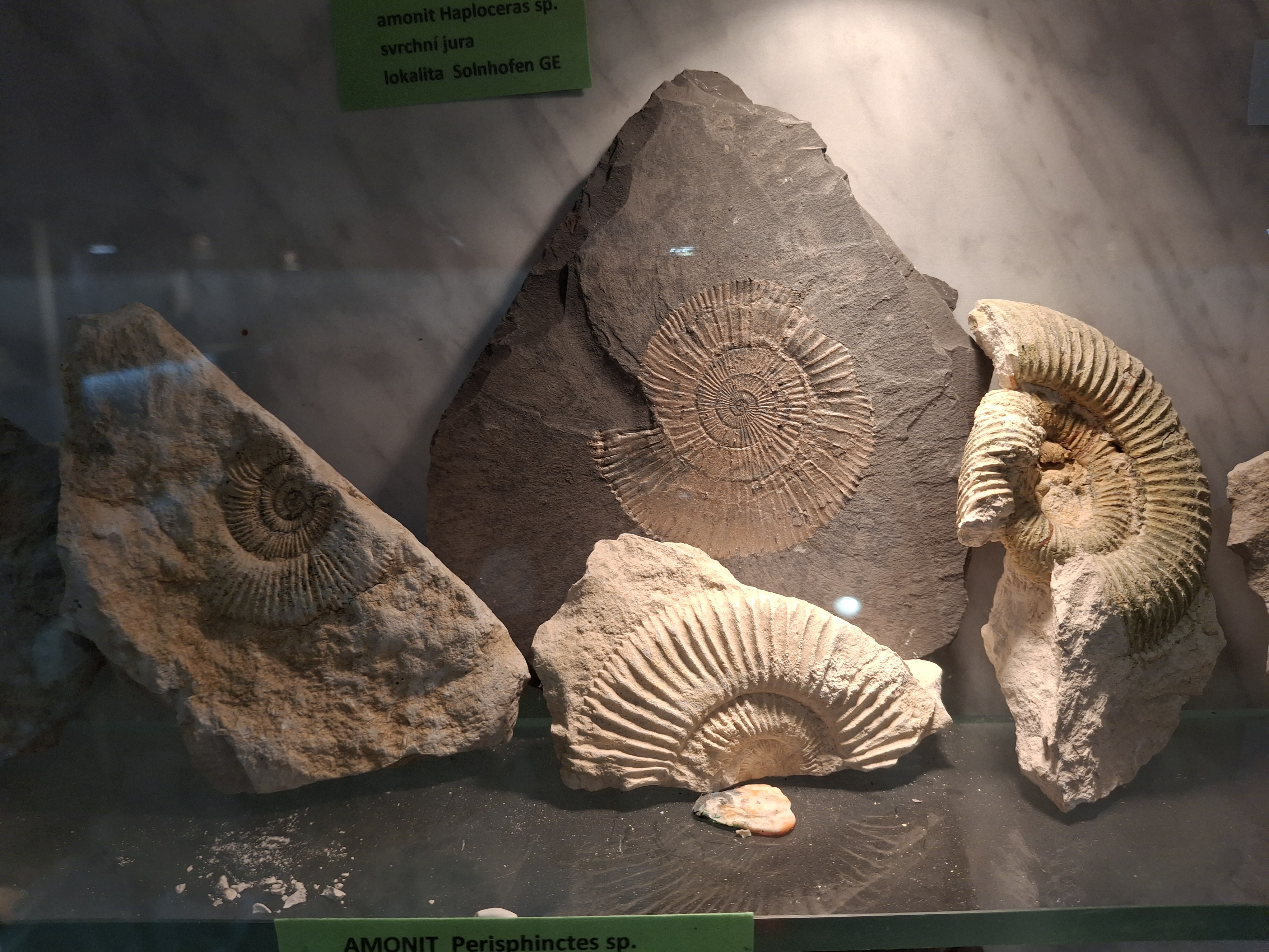 Muzeum naftového dobývání a geologie foto 6