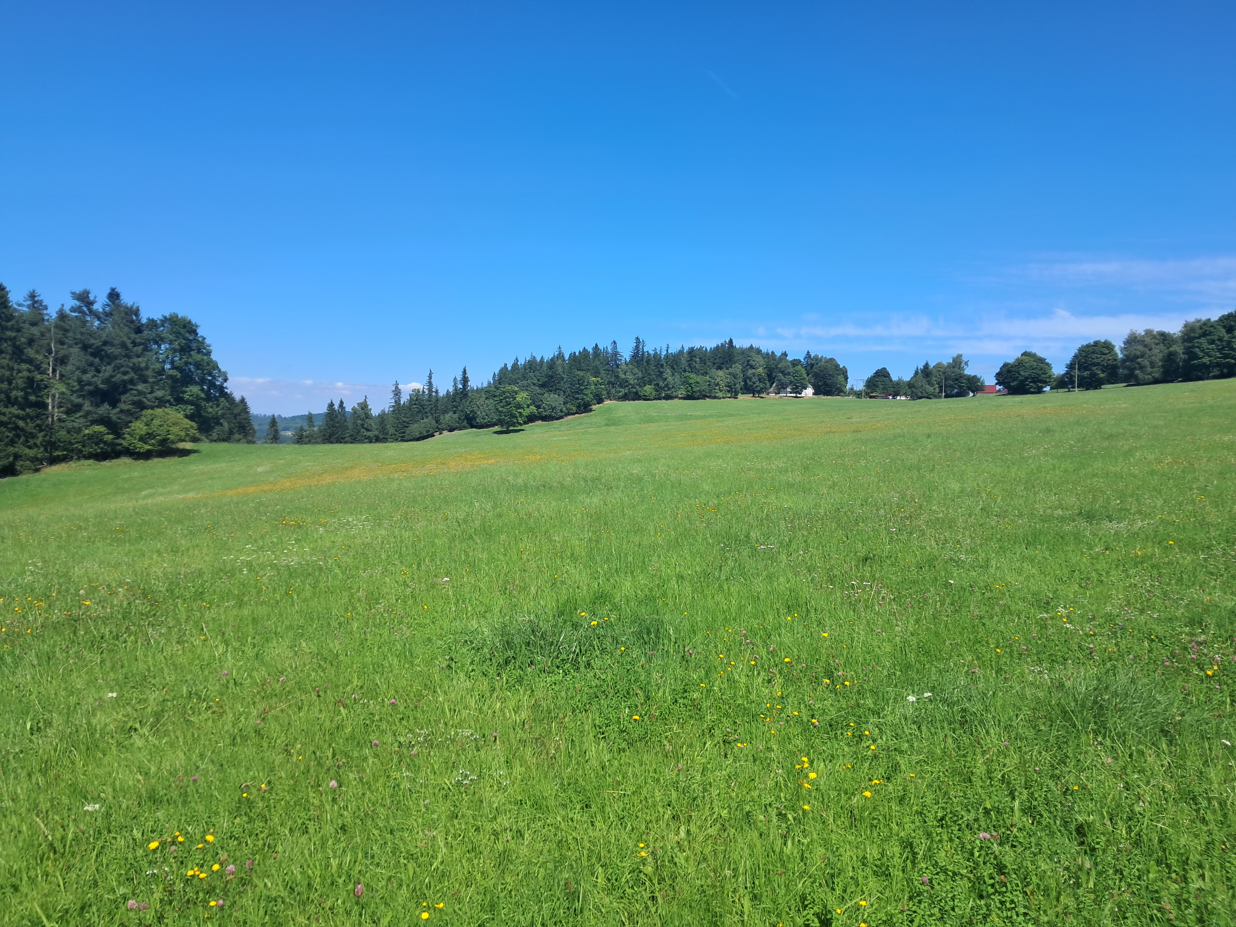 Schwarzenberská myslivna foto 4