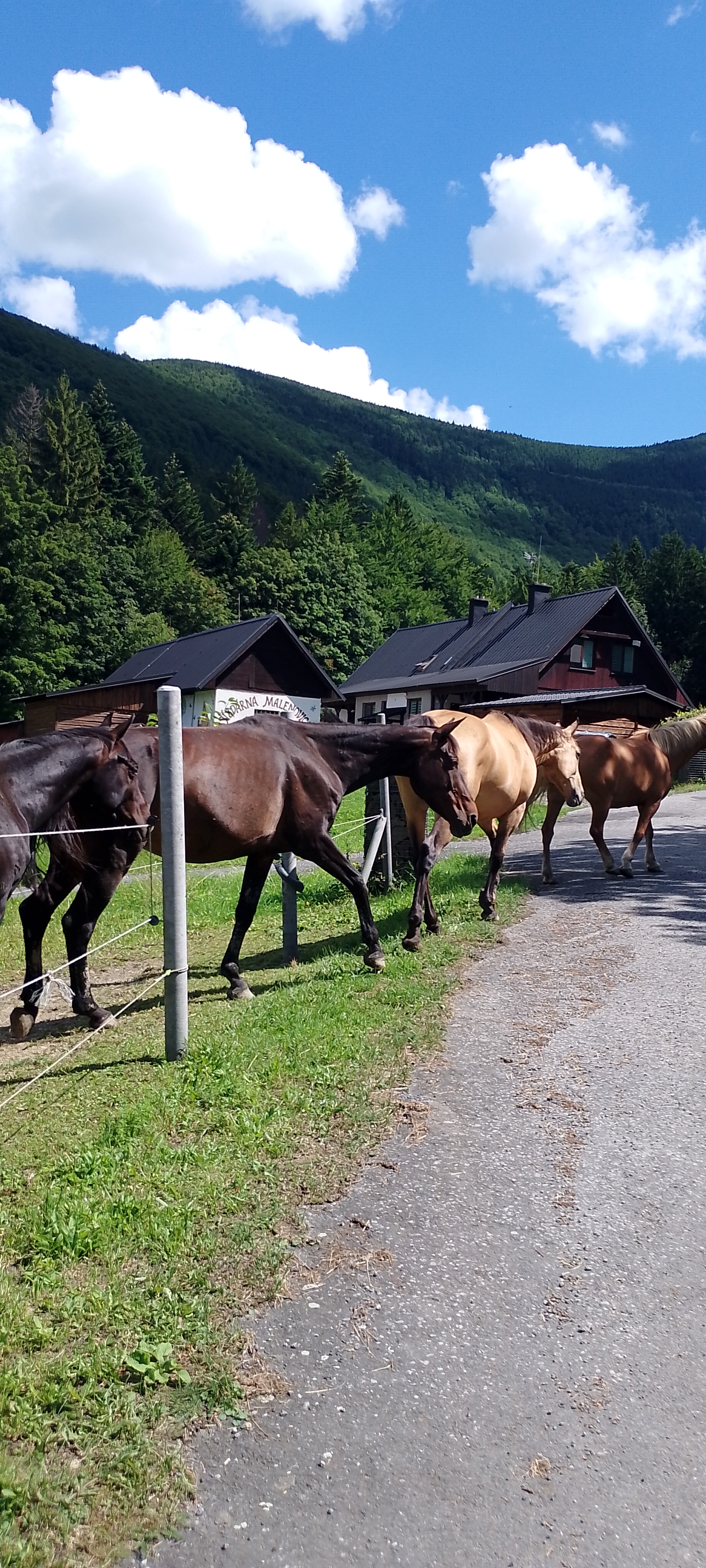 Jízdárna Malenovice foto 6
