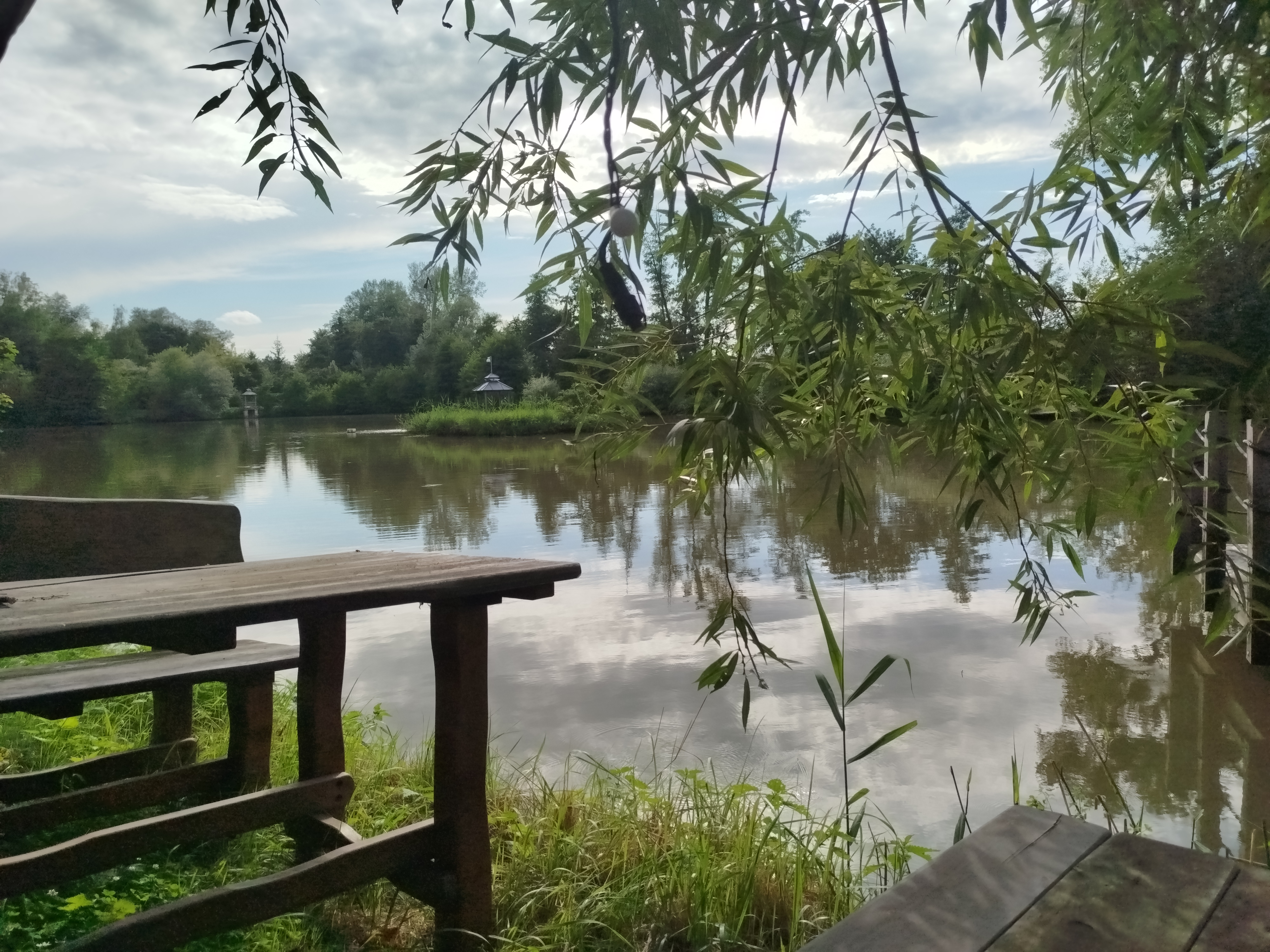 Na rybníčku v Beruni foto 3