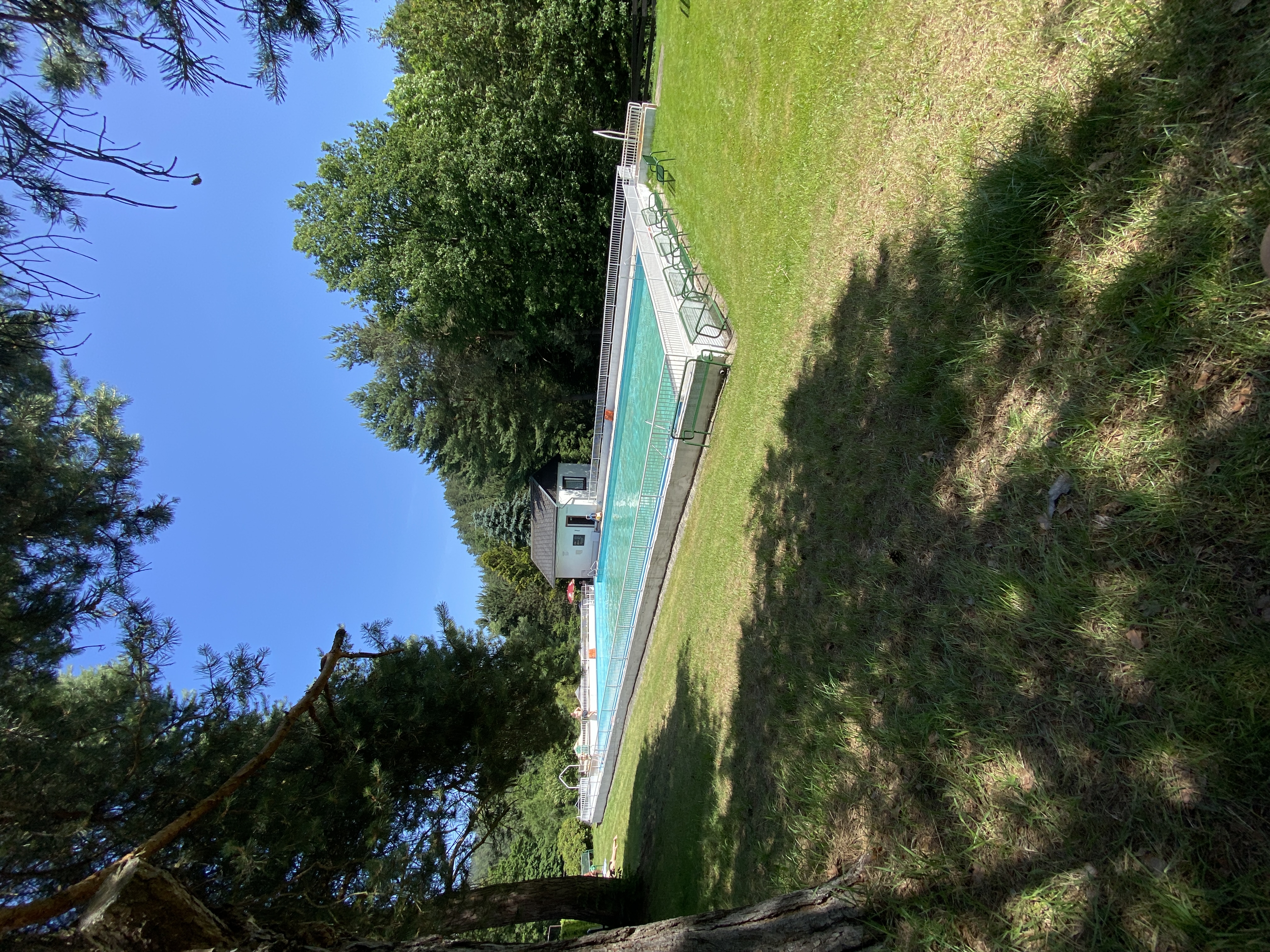 Koupaliště Jetřichovice - Hotel Bellevue foto 6