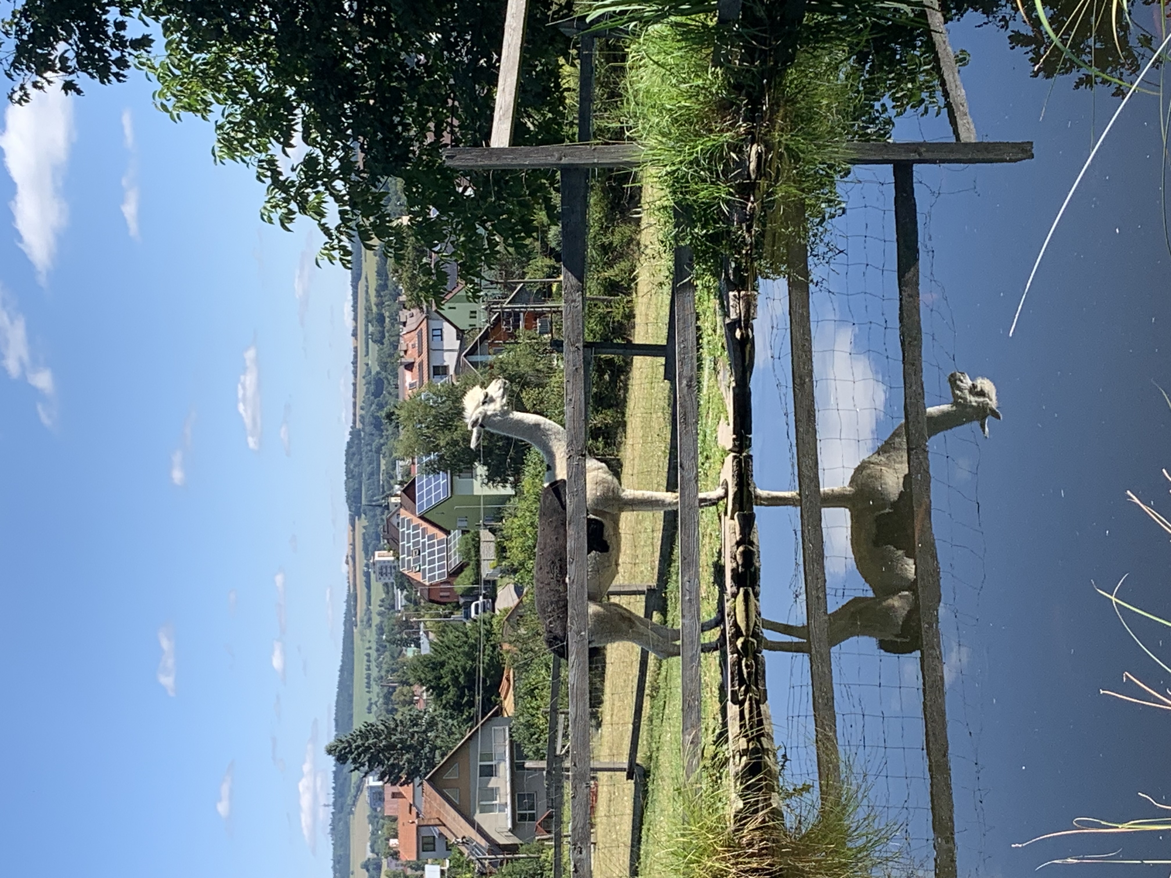 Zookoutek foto 2