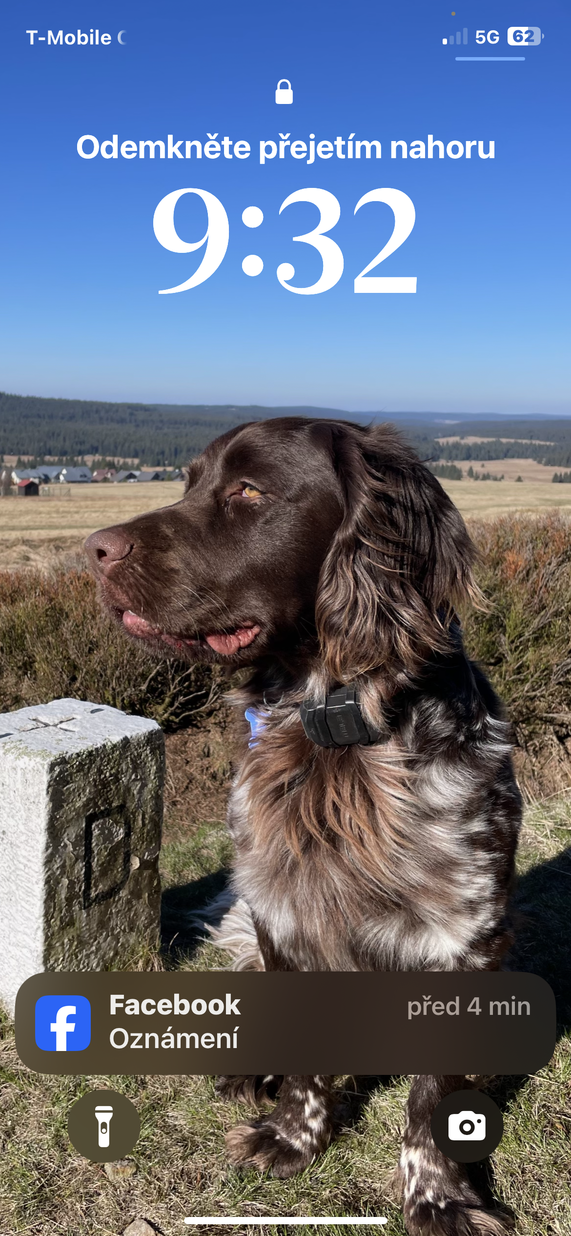 Veterinární klinika - MVDr. Jaroslav Valnoha foto 5
