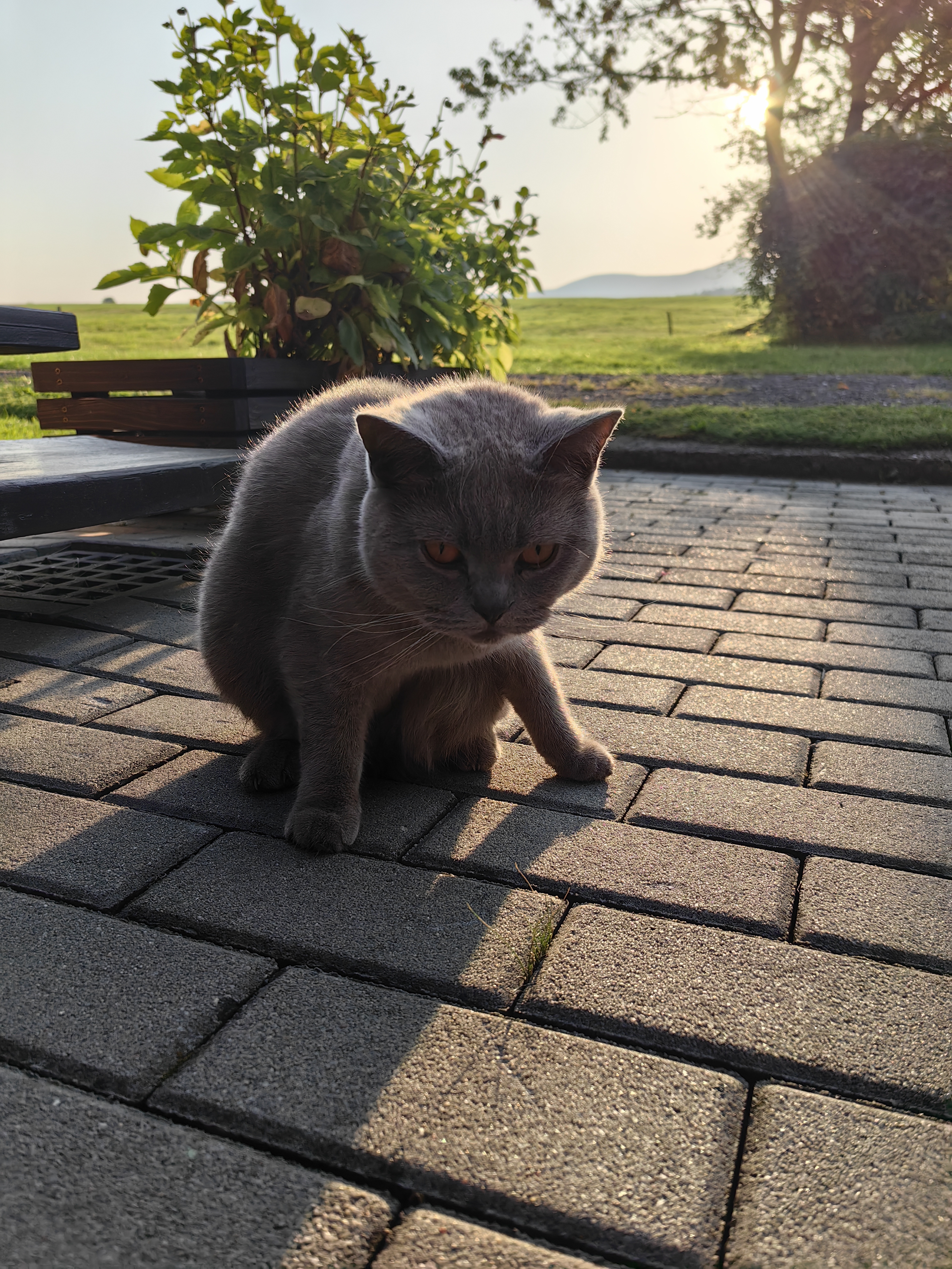 Ubytování U Přadků foto 3