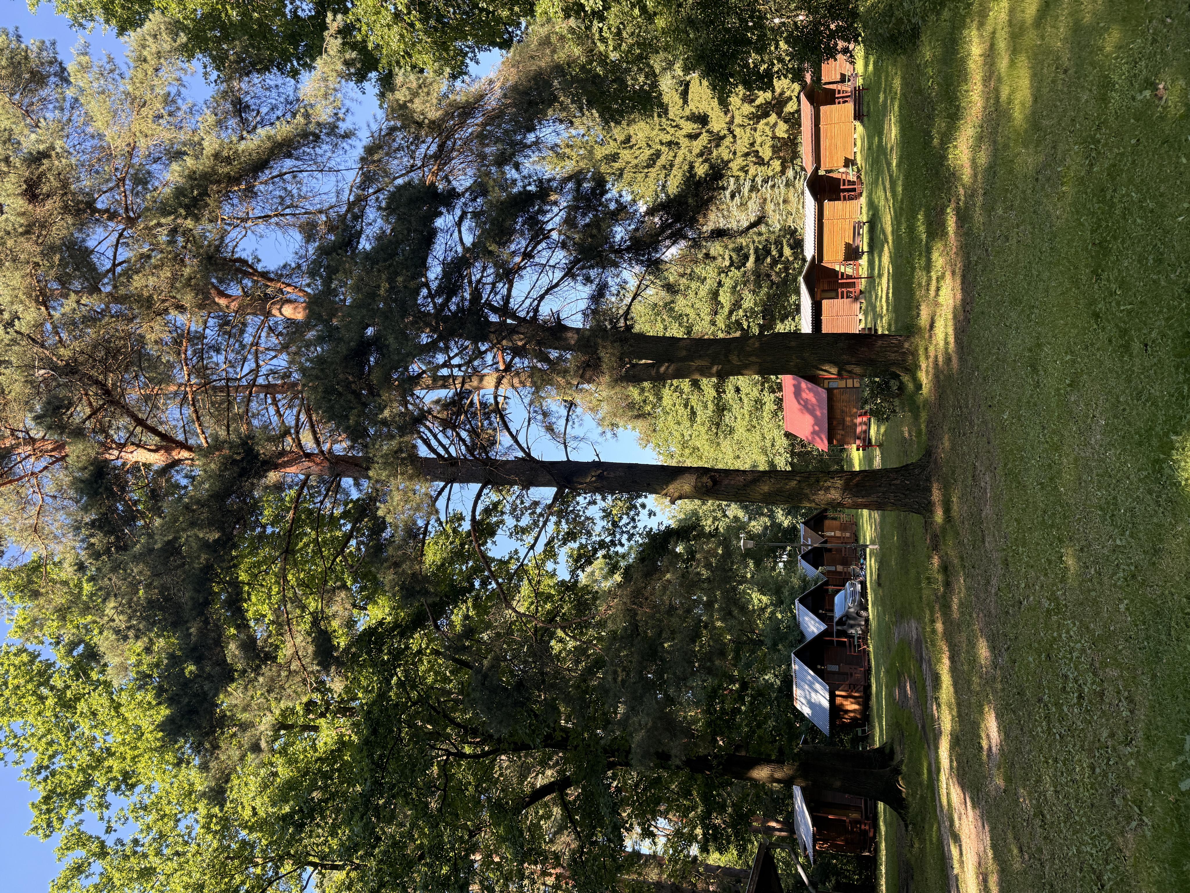 Tábořiště Sokol Suchdol foto 2