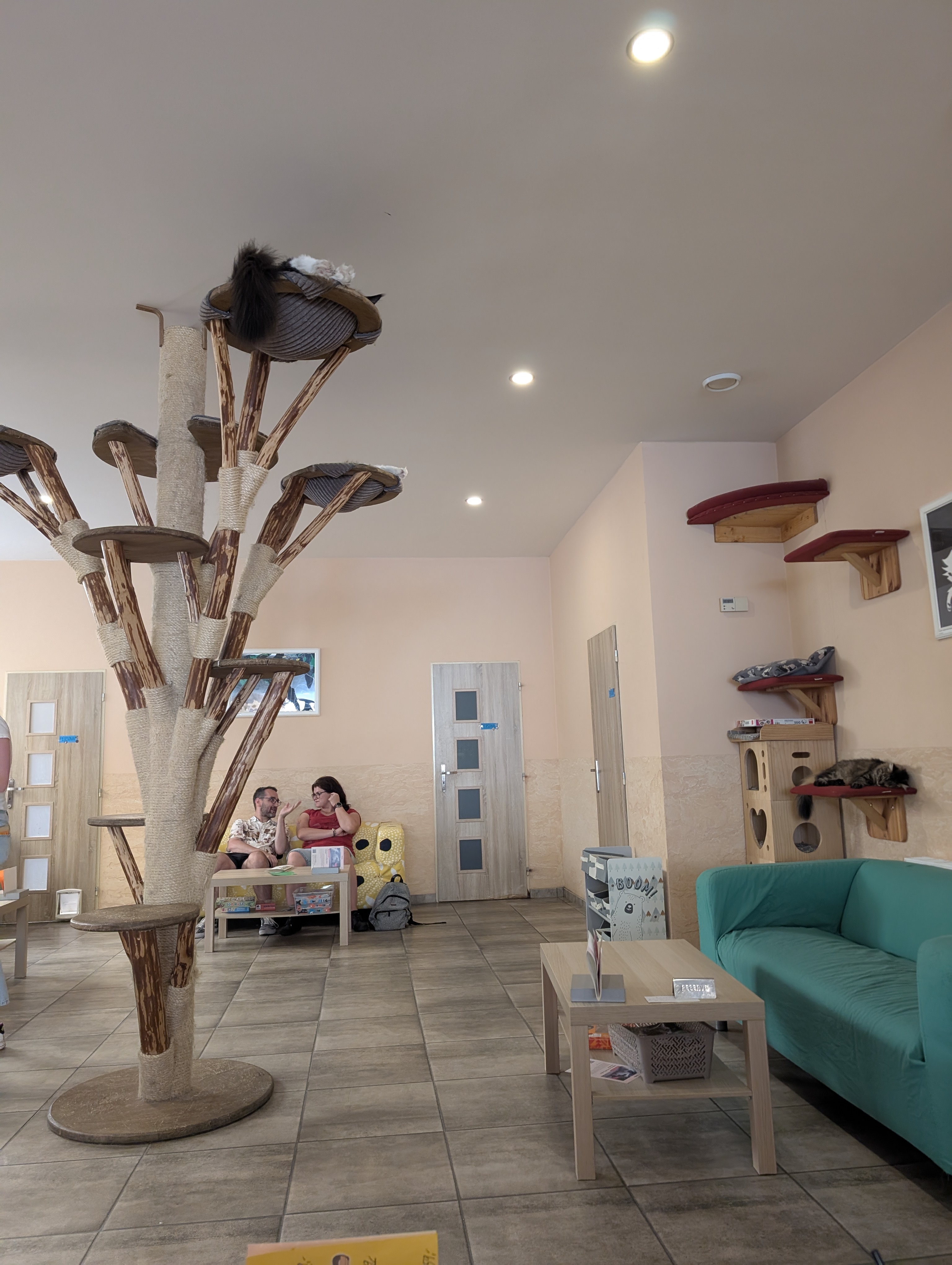 Čauky mňauky cafe foto 4