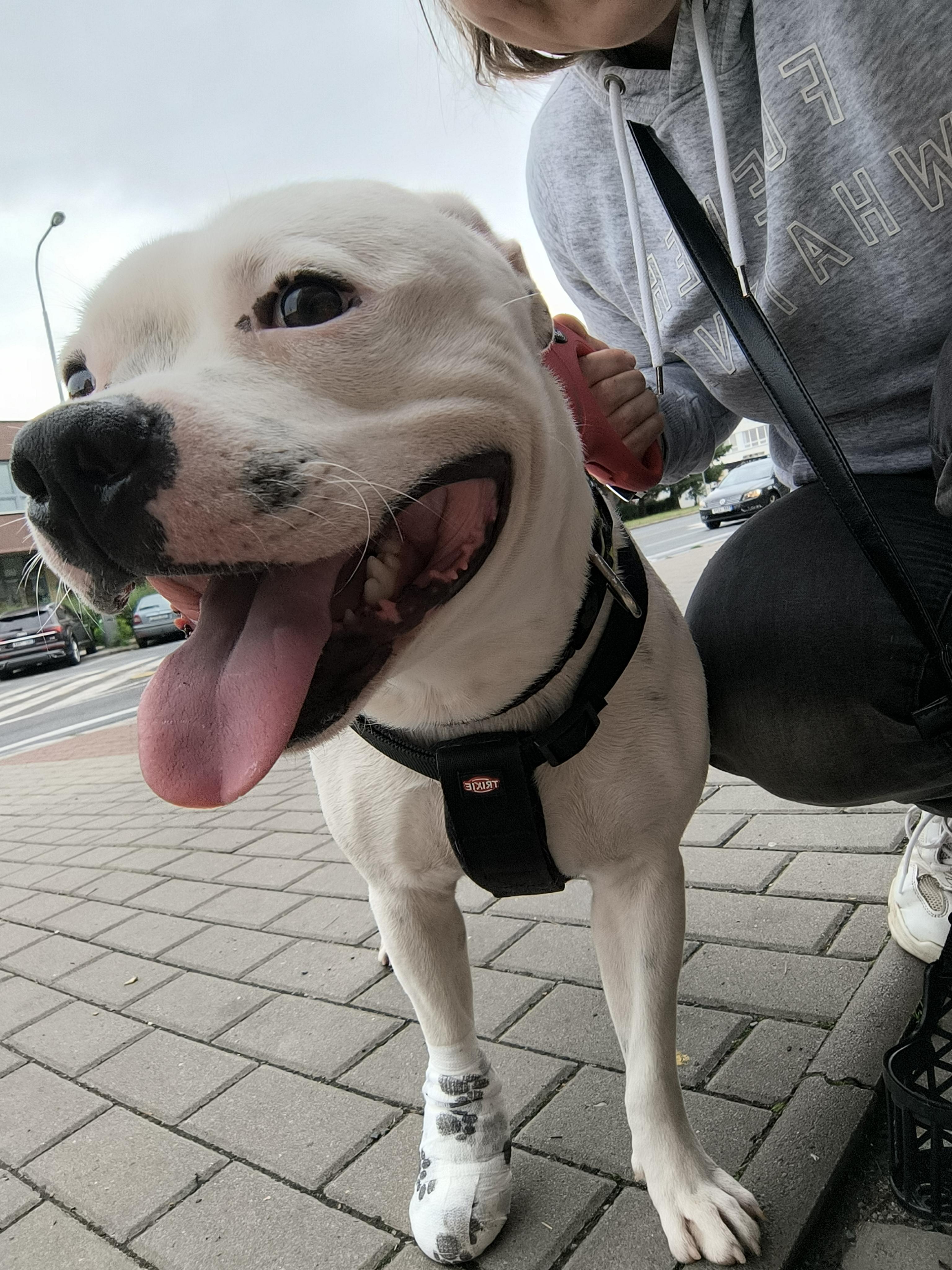 Náš veterinář foto 2