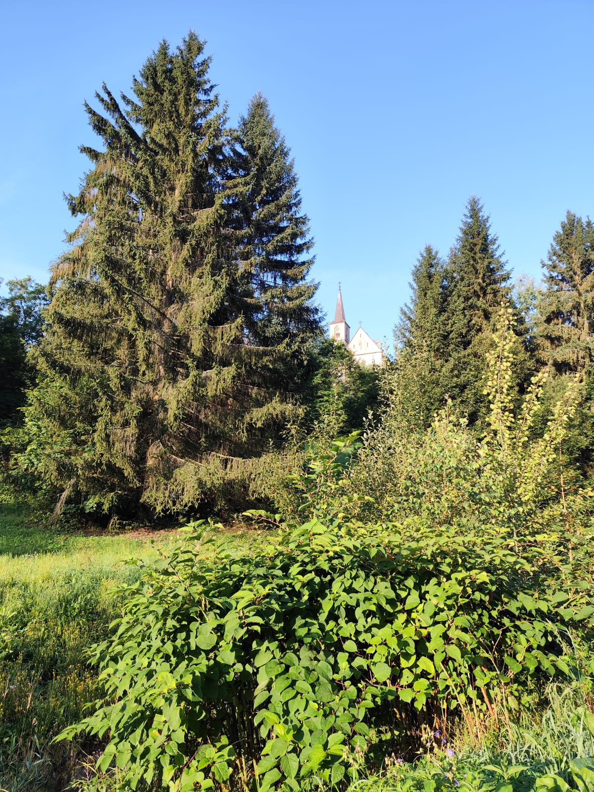 Penzion Betlém foto 3