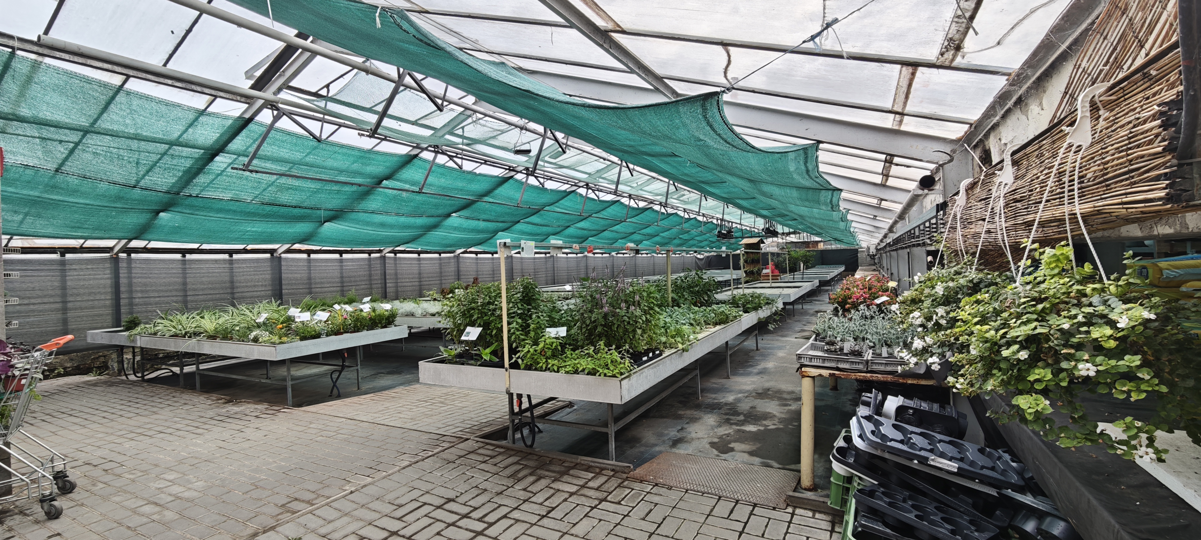 Zahradnictví Juliánov foto 2