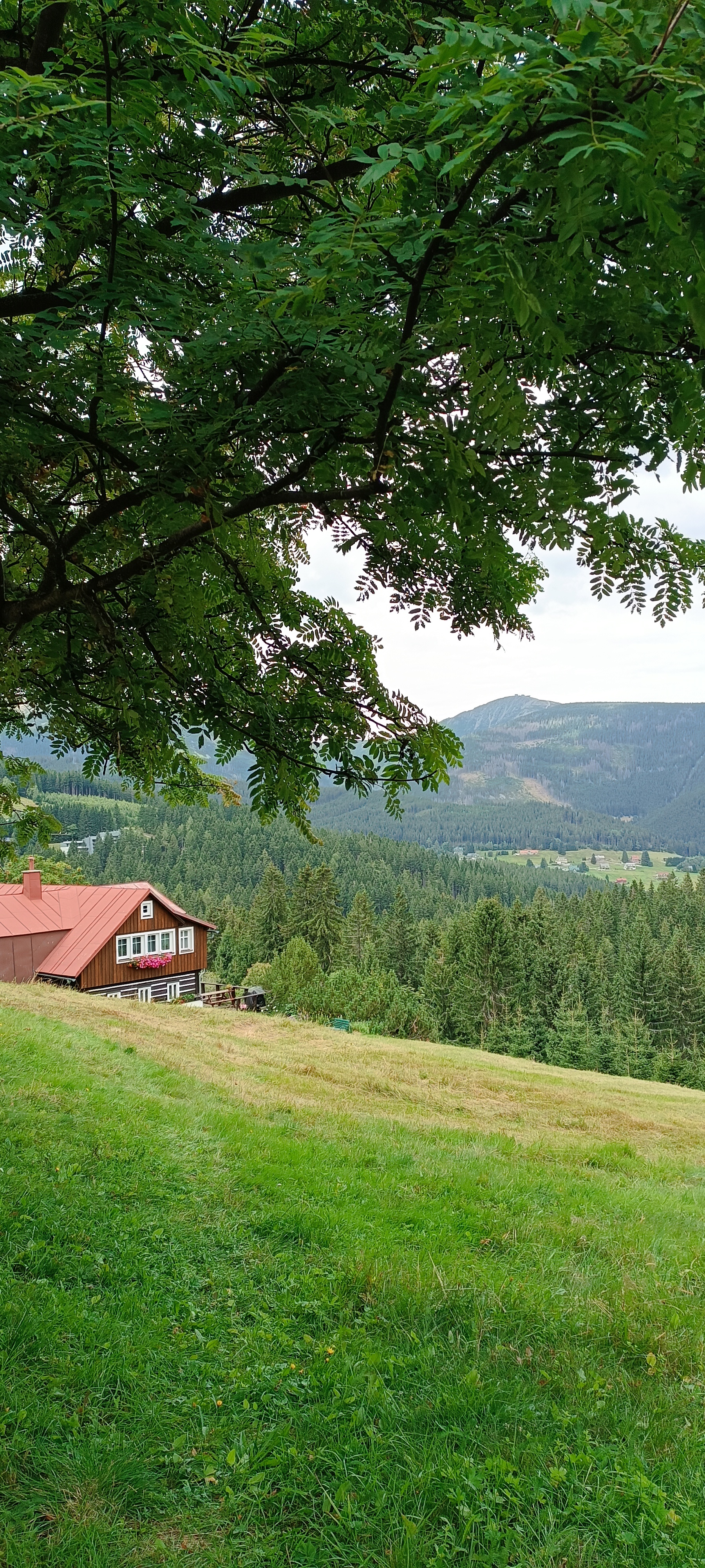 Pension Skalický foto 3