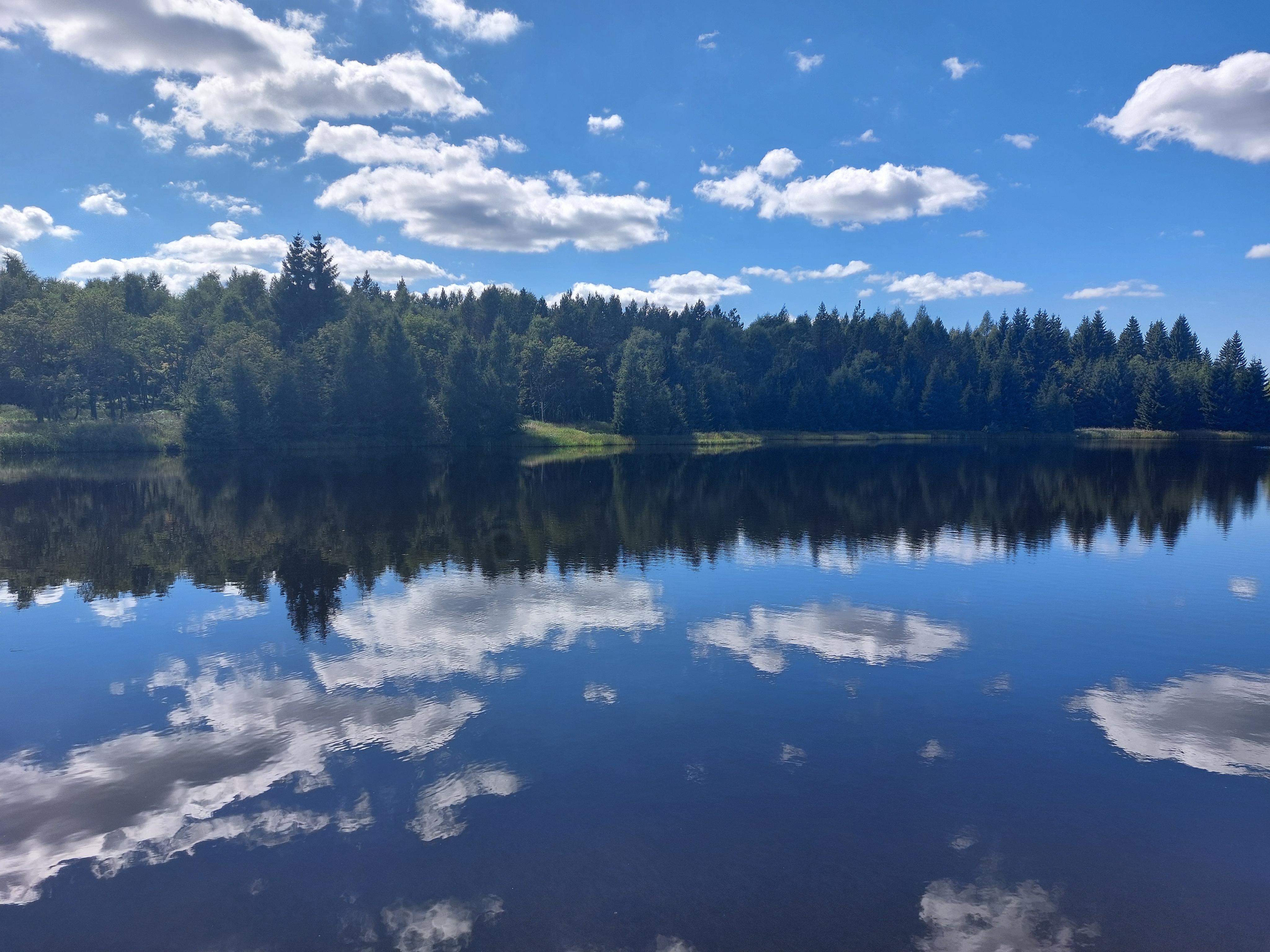 Lesovna Nový dům foto 5