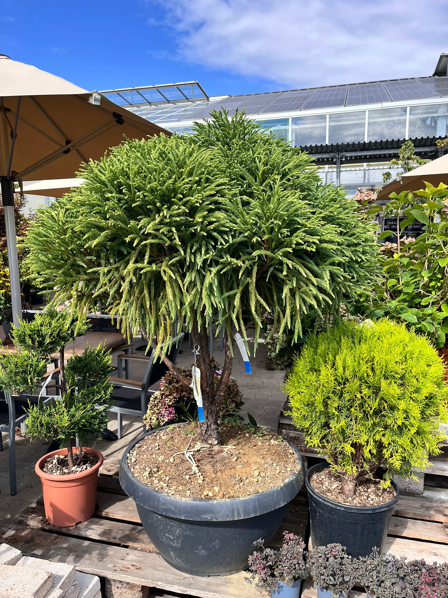 Truhlíkov.cz foto 4