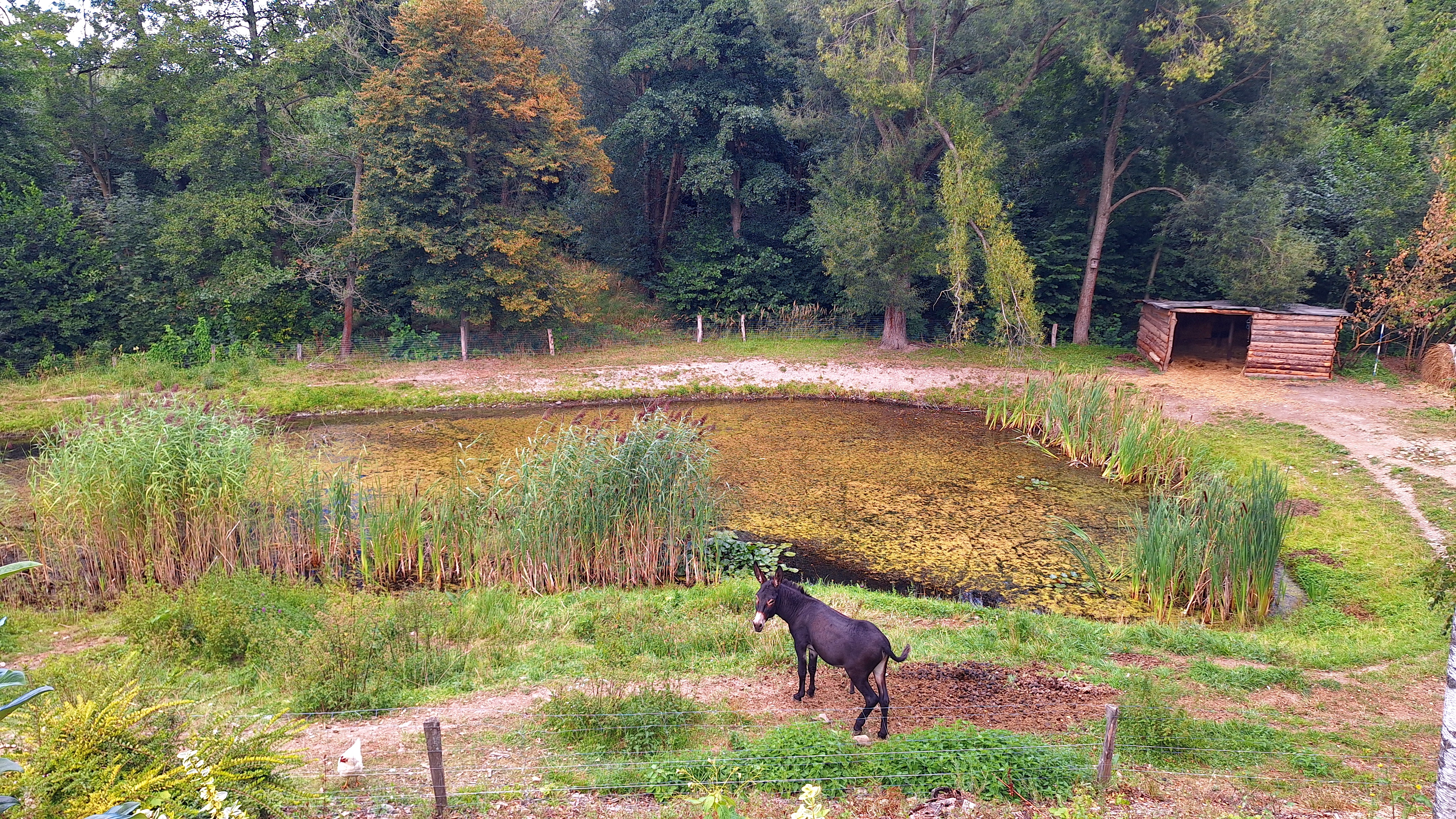 Restaurace Farmářská Bašta foto 5