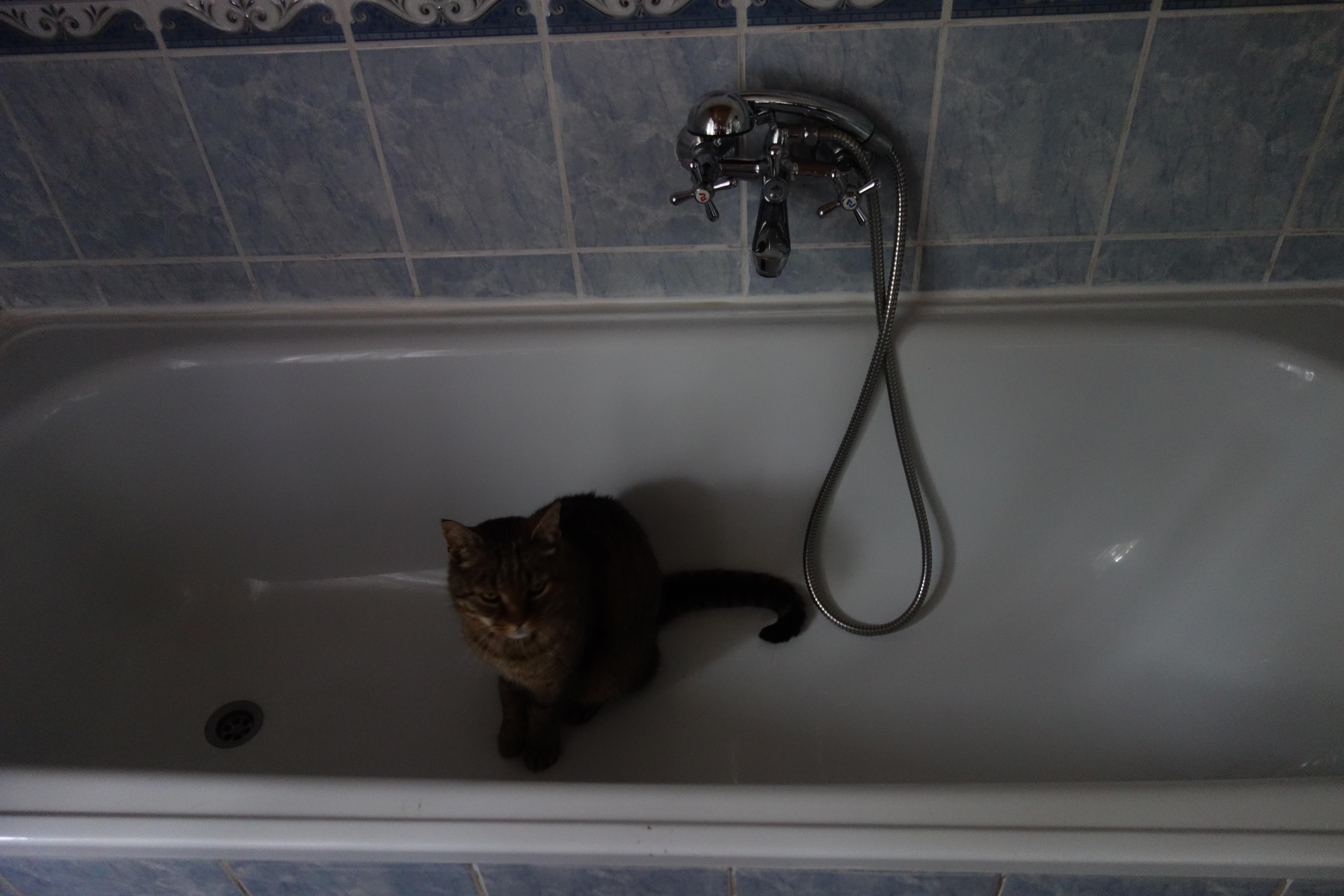 Venkovské apartmá Tiché pastviny foto 5