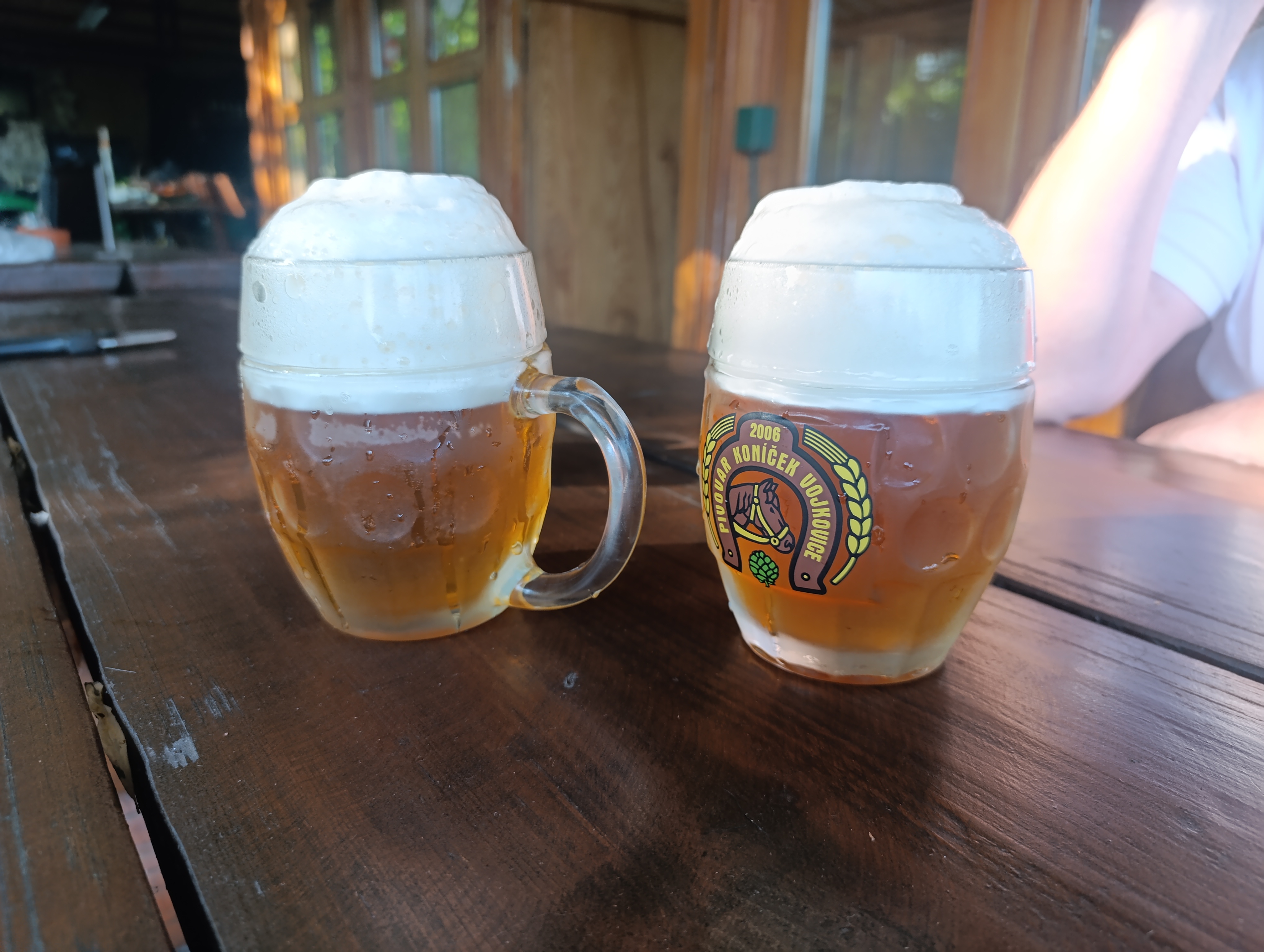 Ubytování srub Ranch Na Hranici foto 5