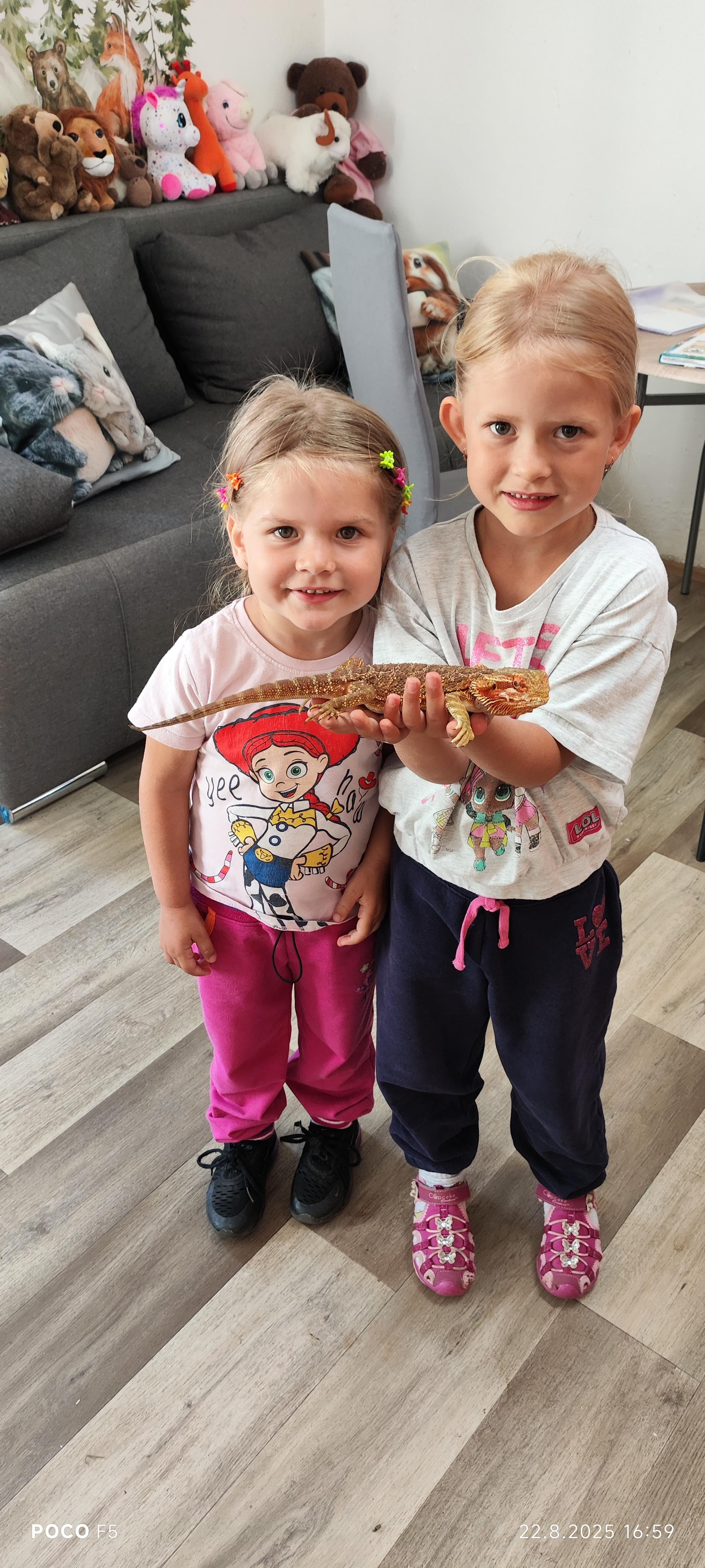 Kontaktní Zoopark - Farma Kapsa, z.s. foto 2