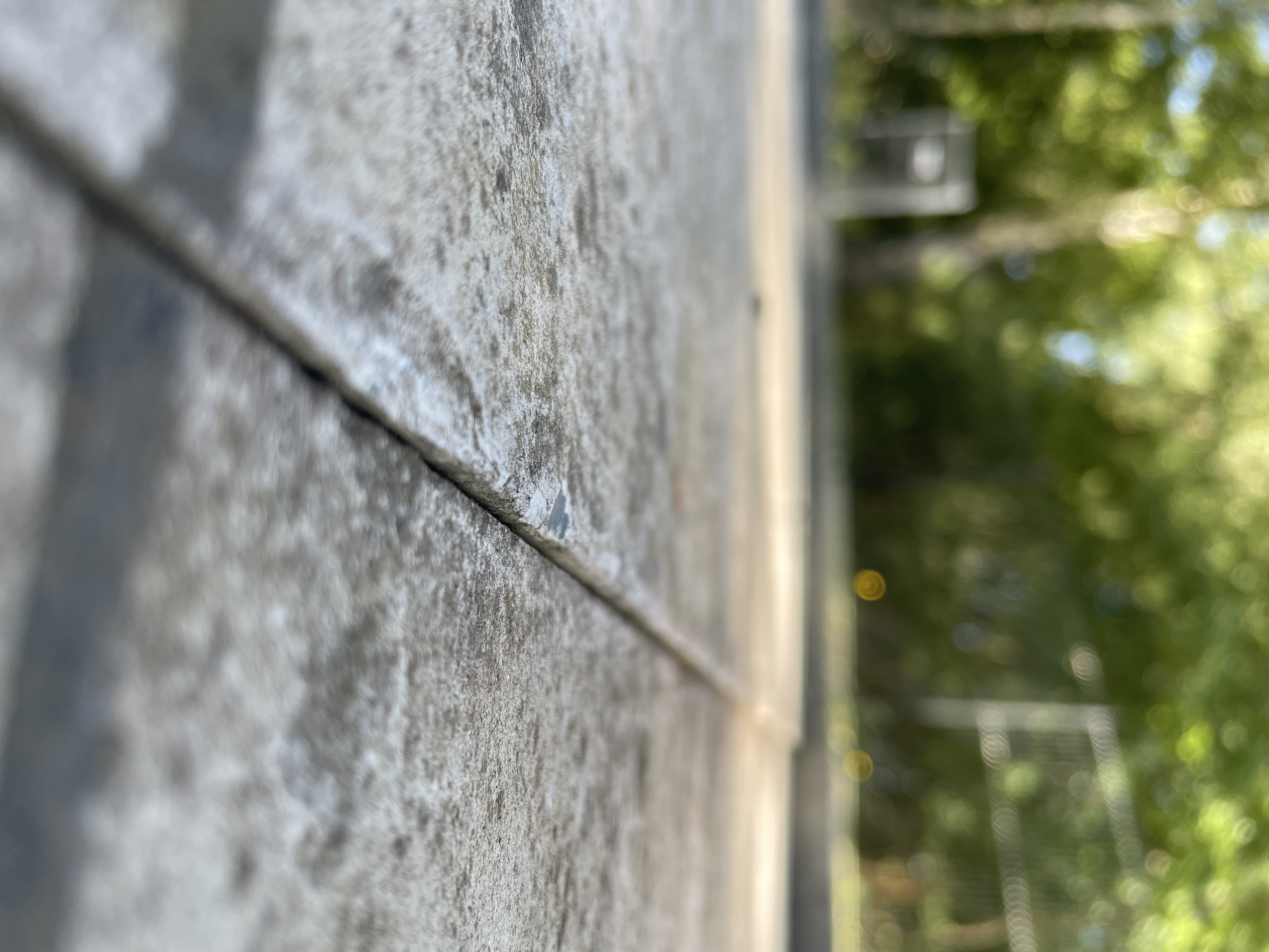 Minigolf Sport Česká Lípa foto 2