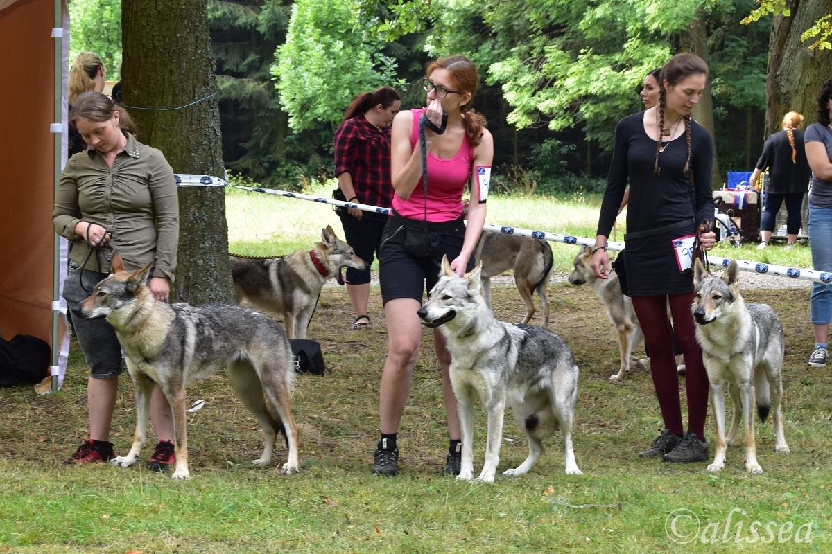 U Kanonýra Jabůrka foto 6