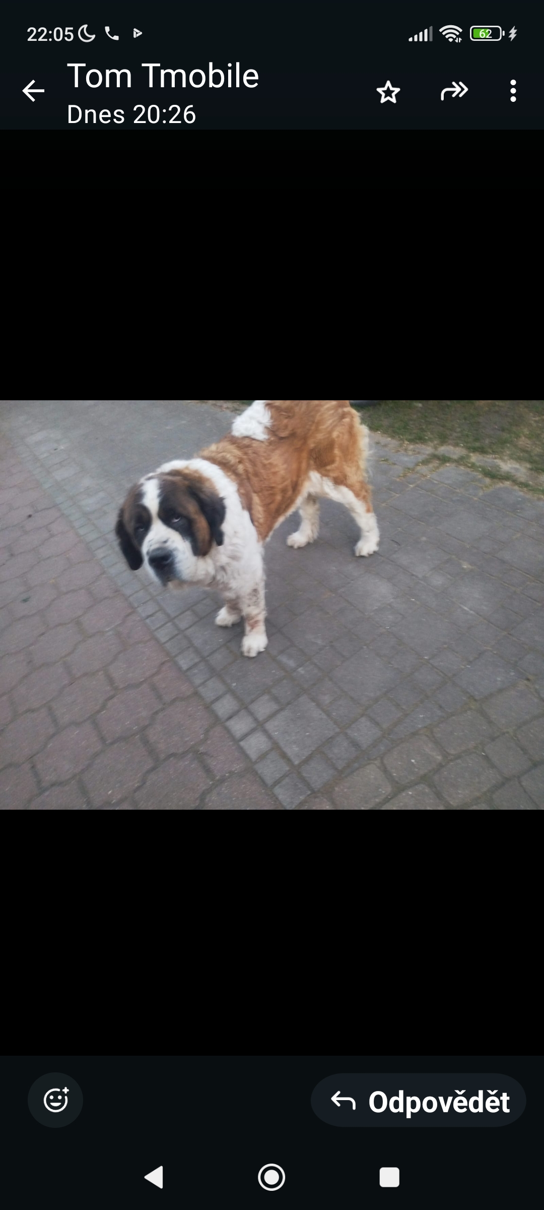 Veterinář domů - Vitalii Havryliuk, Veterinární lékař foto 1