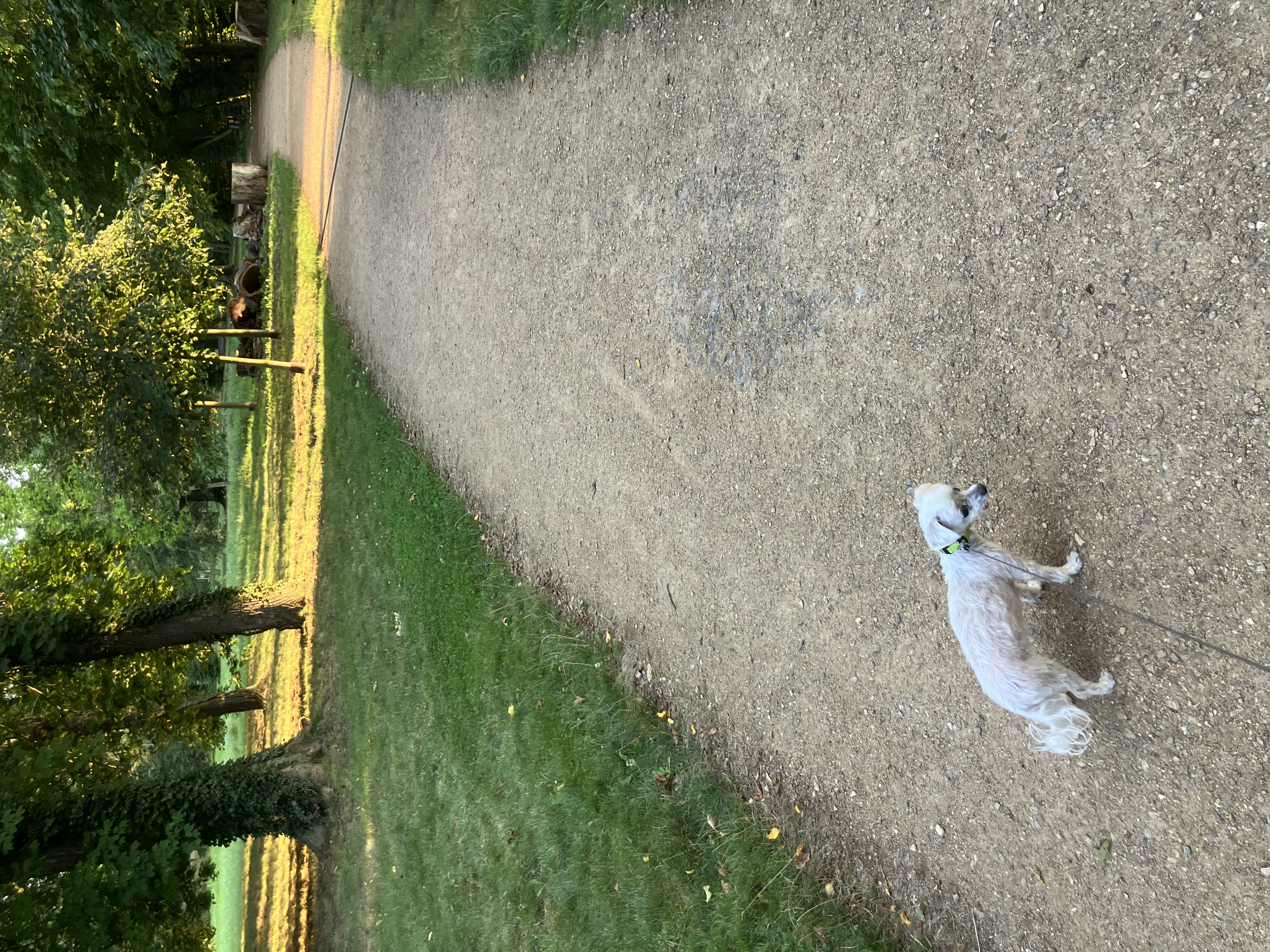 MVDr. Ivan Jeník foto 3